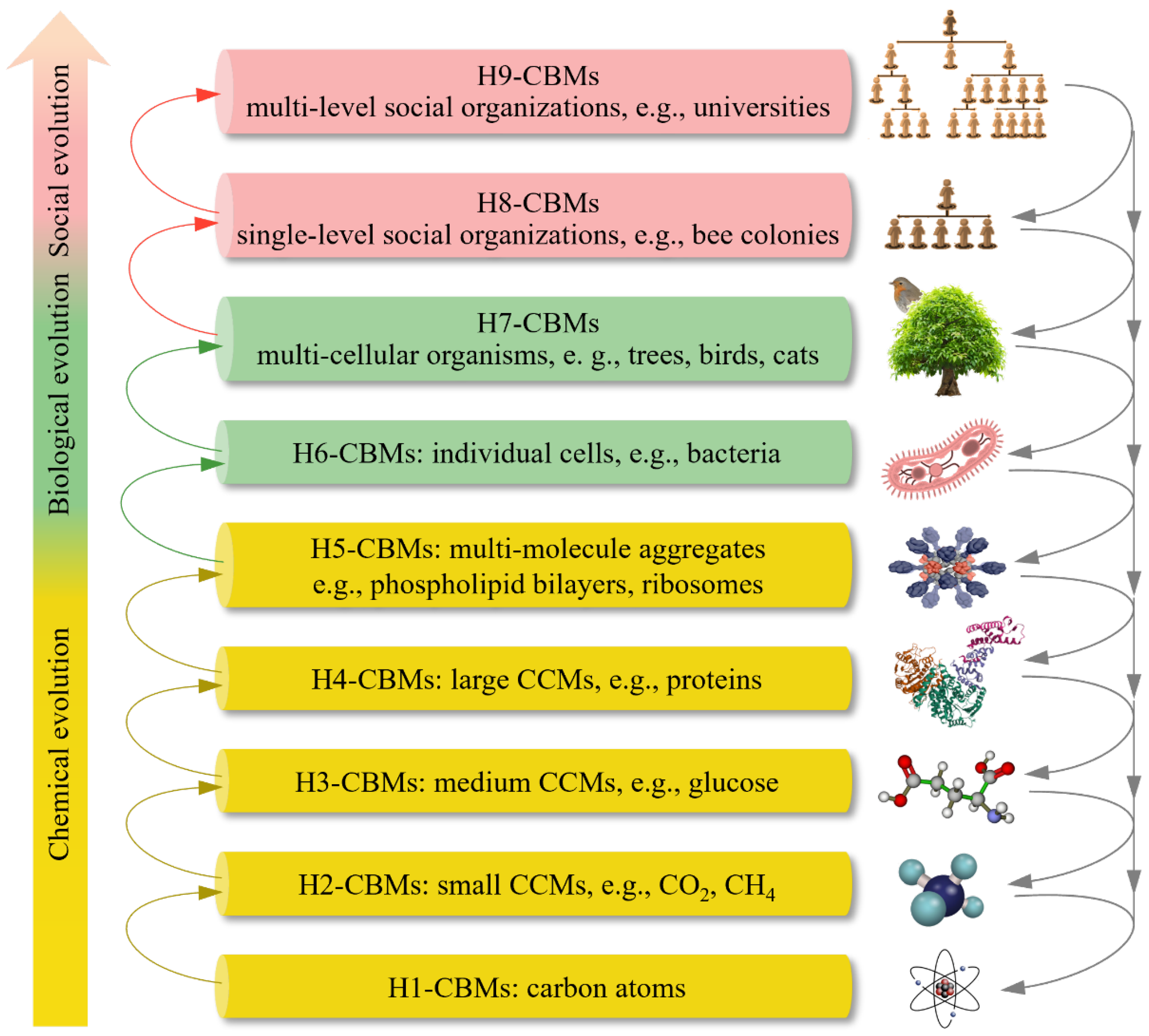 Preprints 182822 g001
