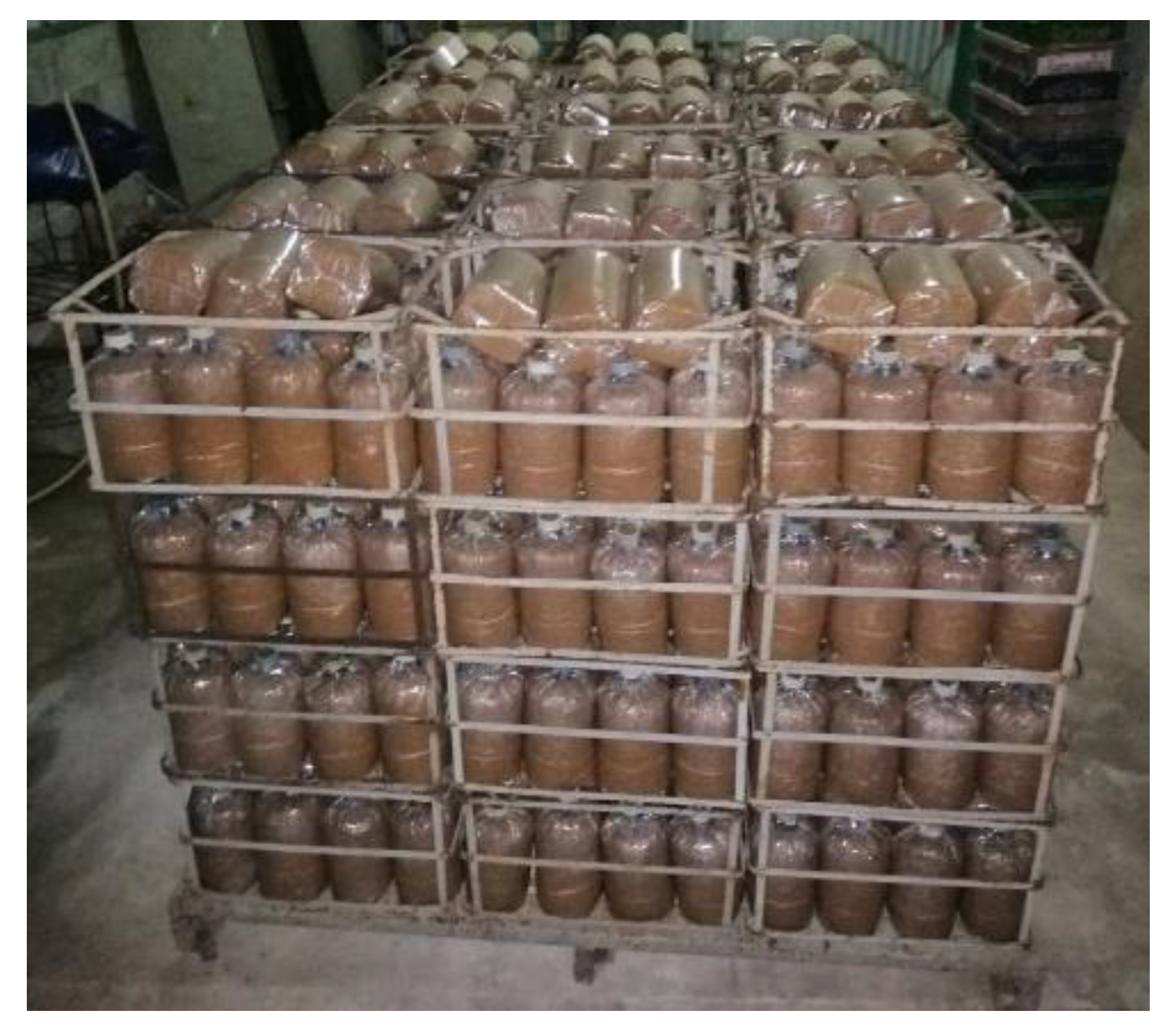 Preprints 187600 g006