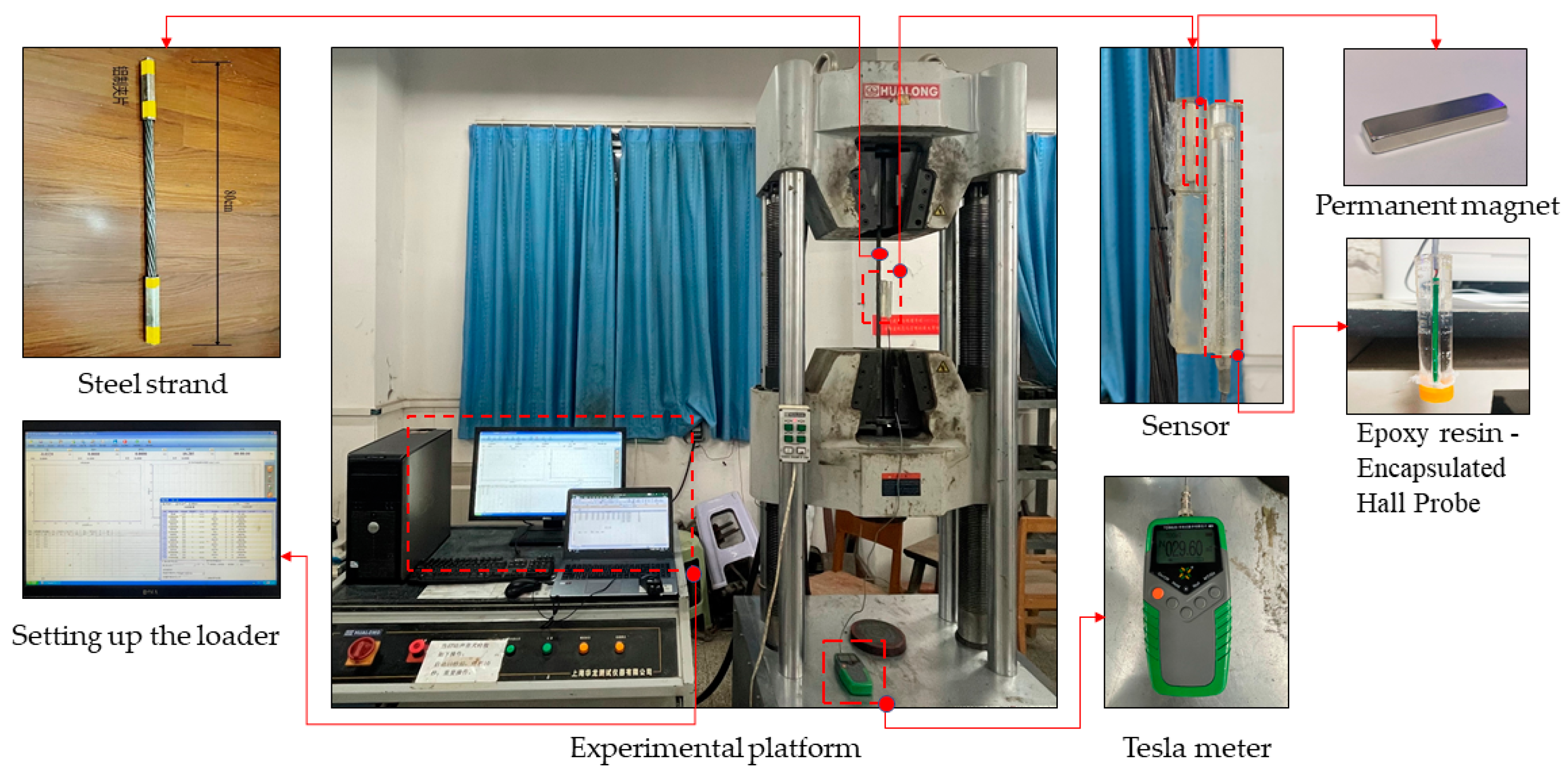 Preprints 145598 g006