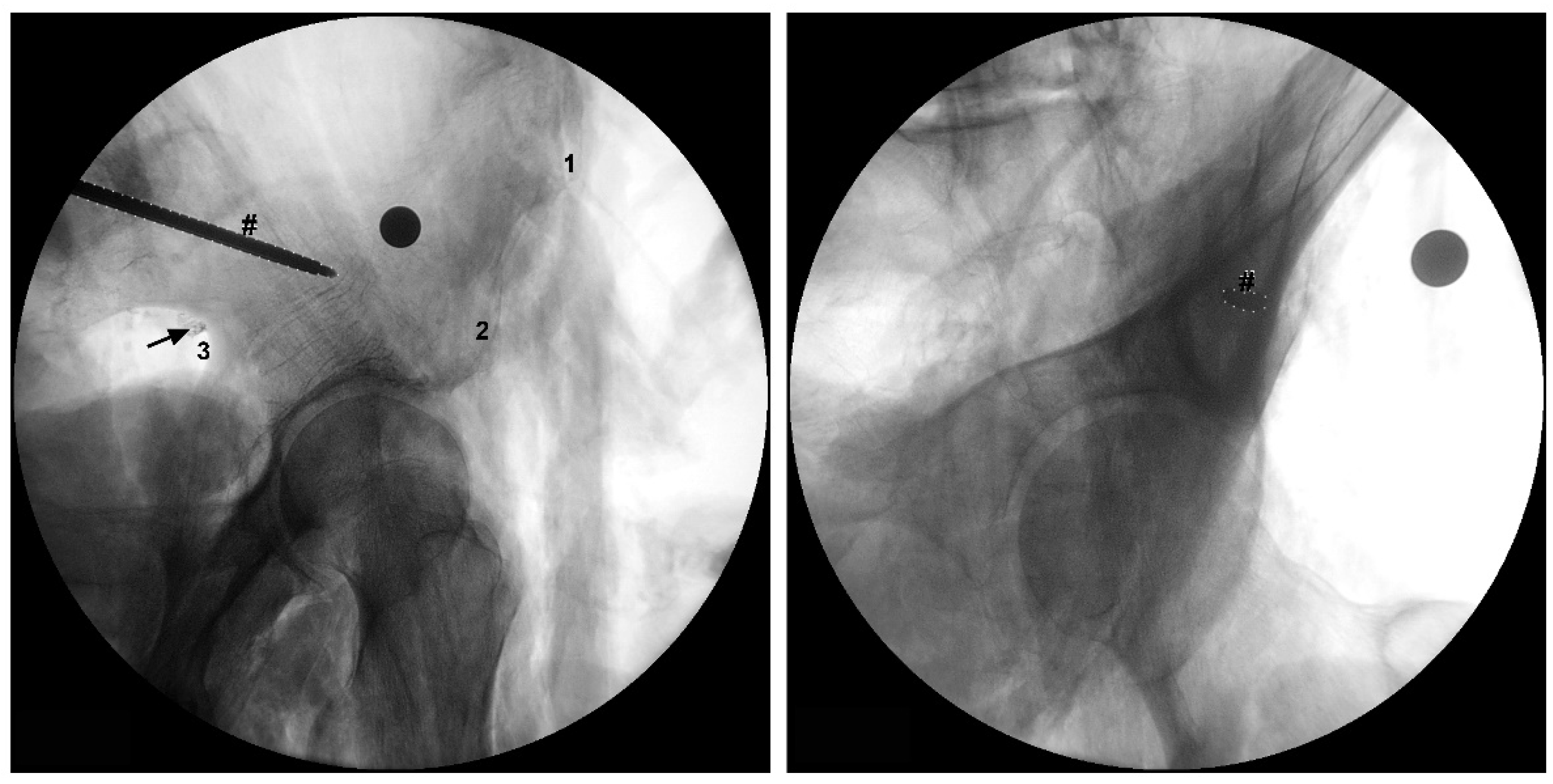 Preprints 76562 g003