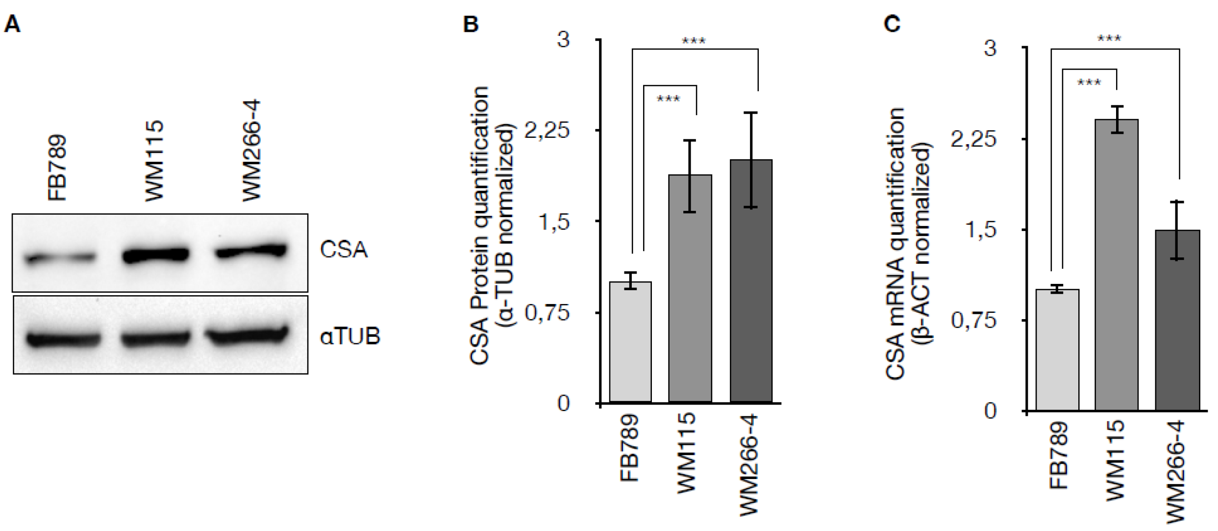 Preprints 176431 g001