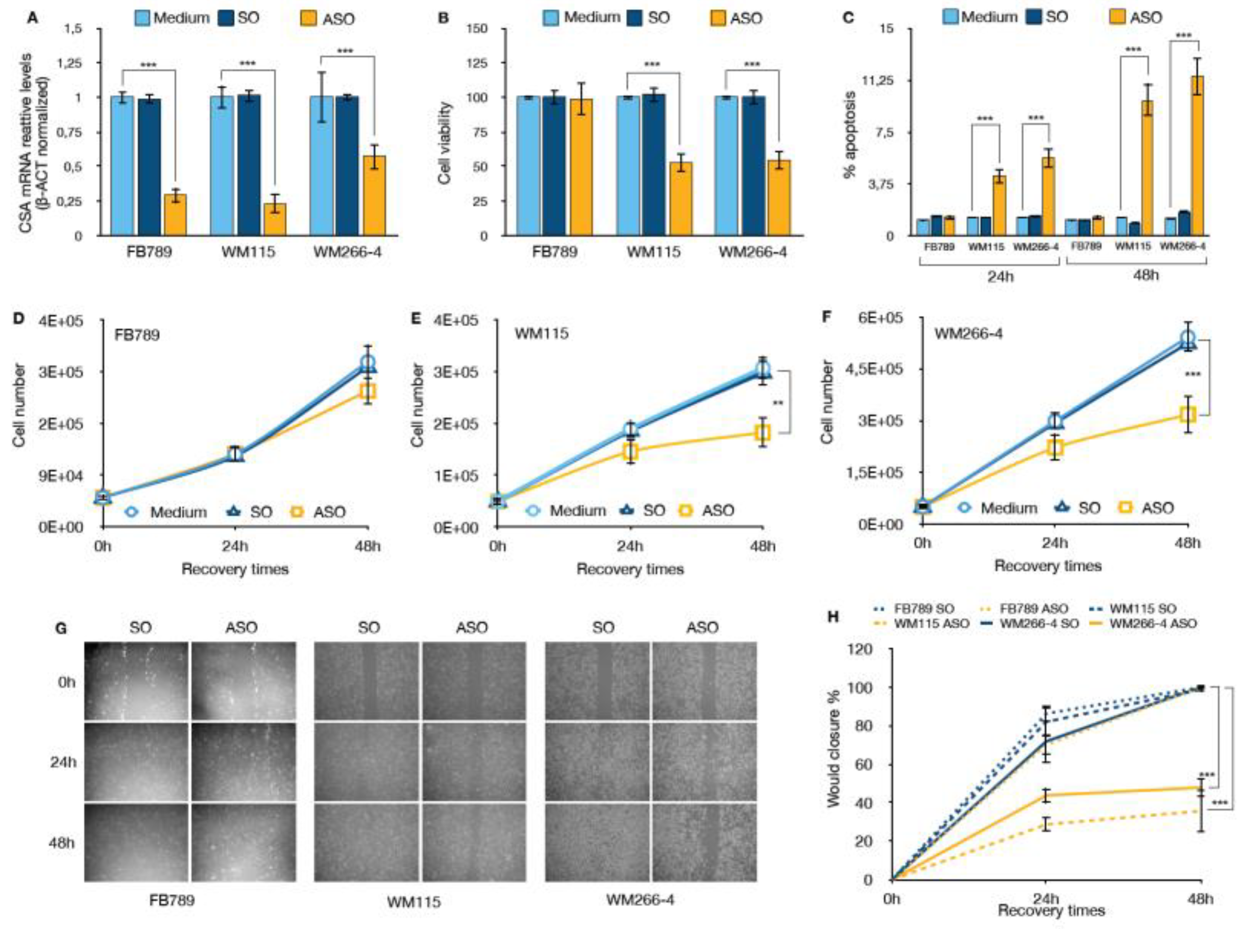 Preprints 176431 g002