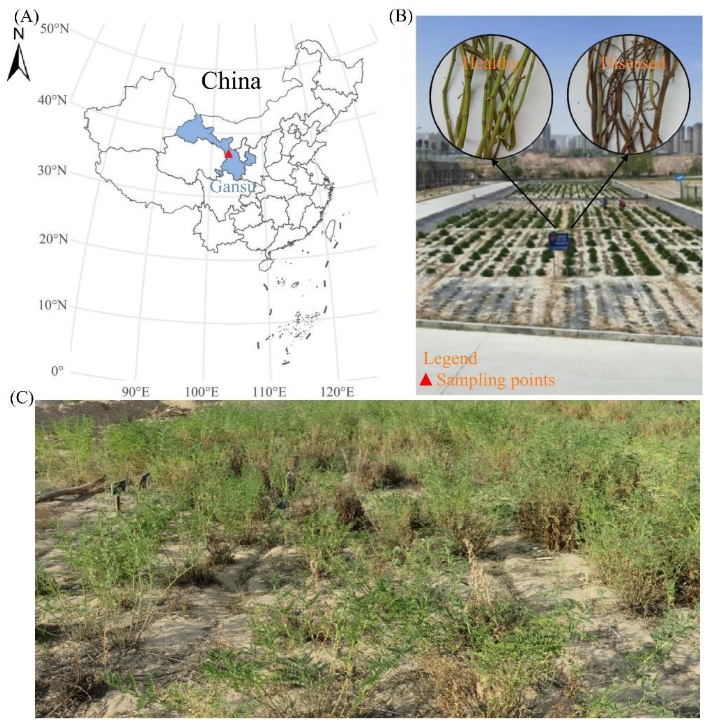 Preprints 159743 g001