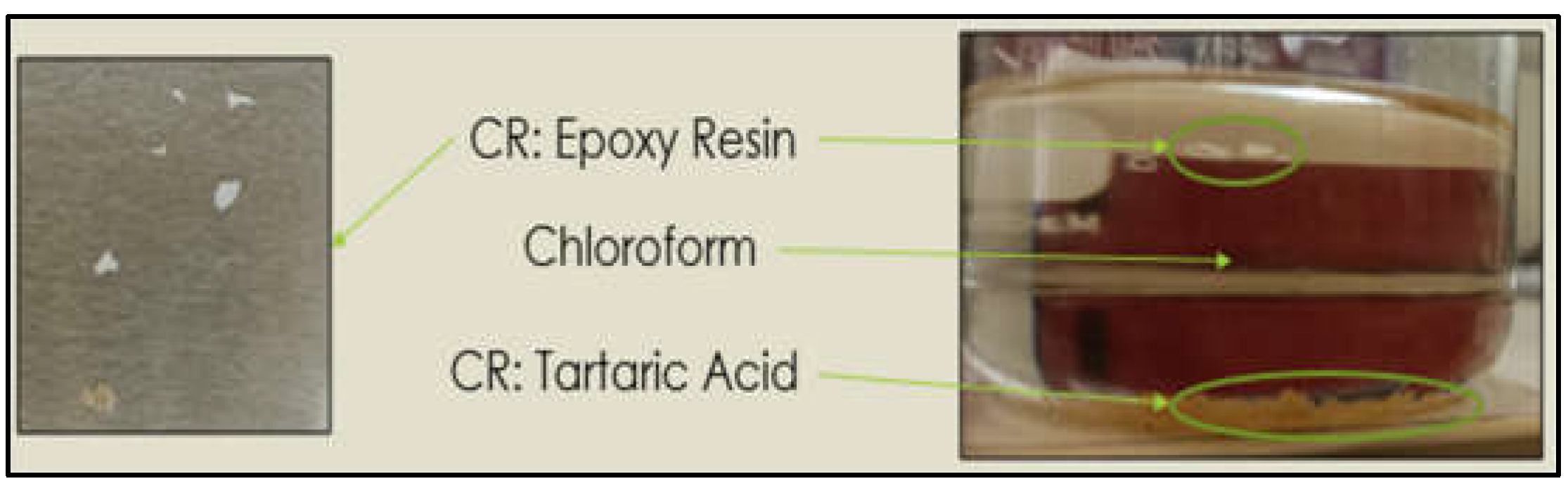 Preprints 152757 g001