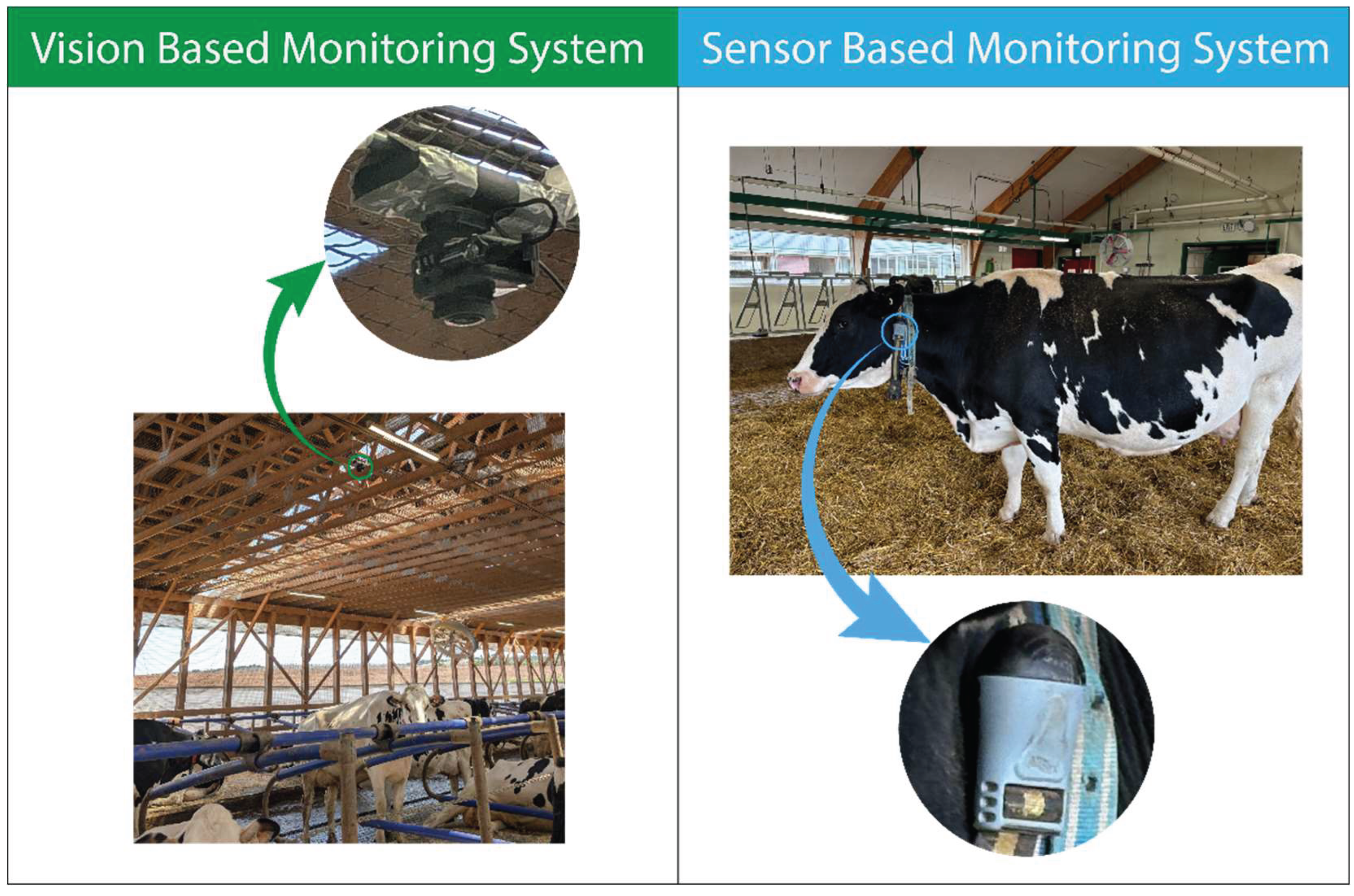 Preprints 161688 g003