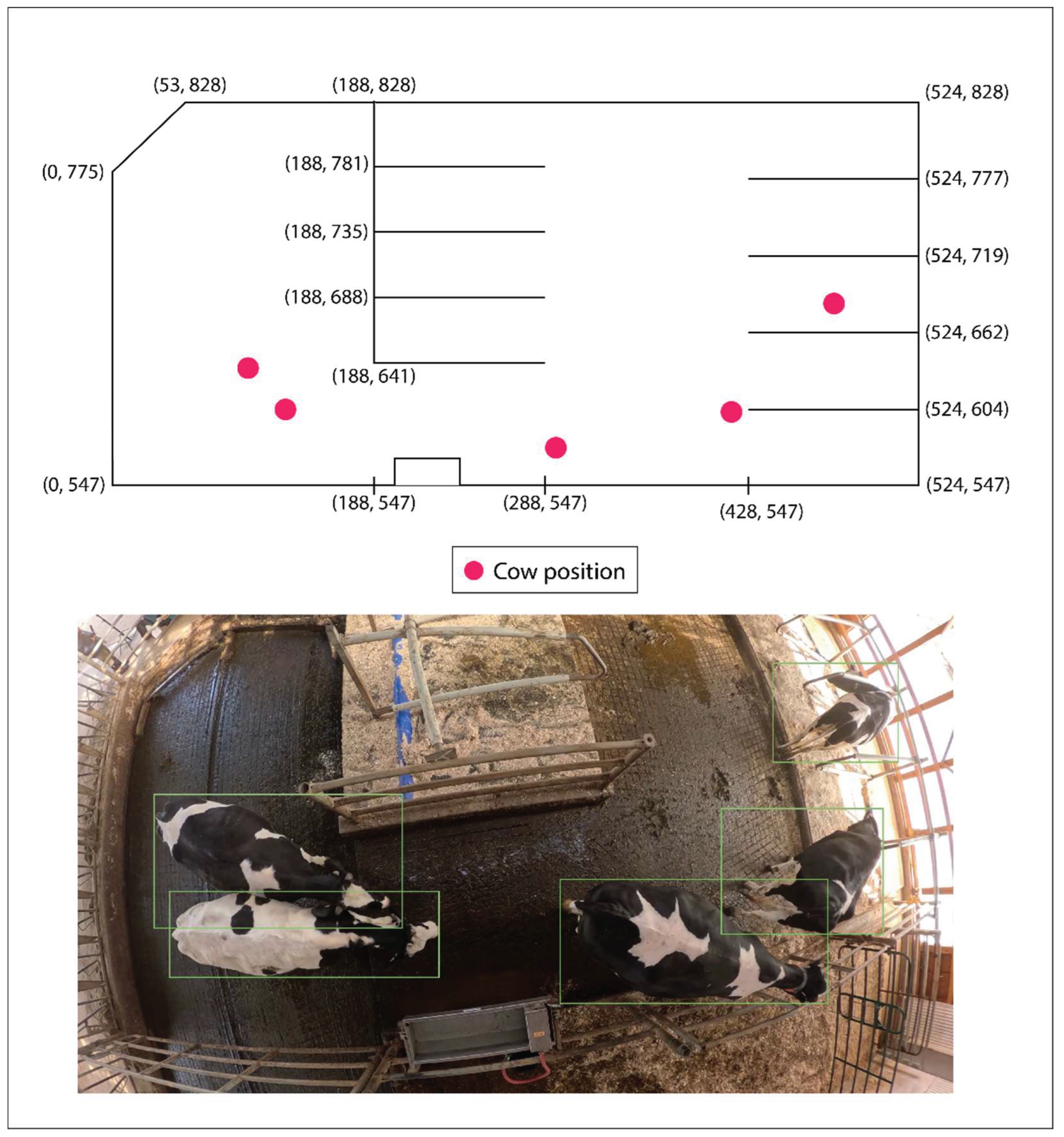 Preprints 161688 g006