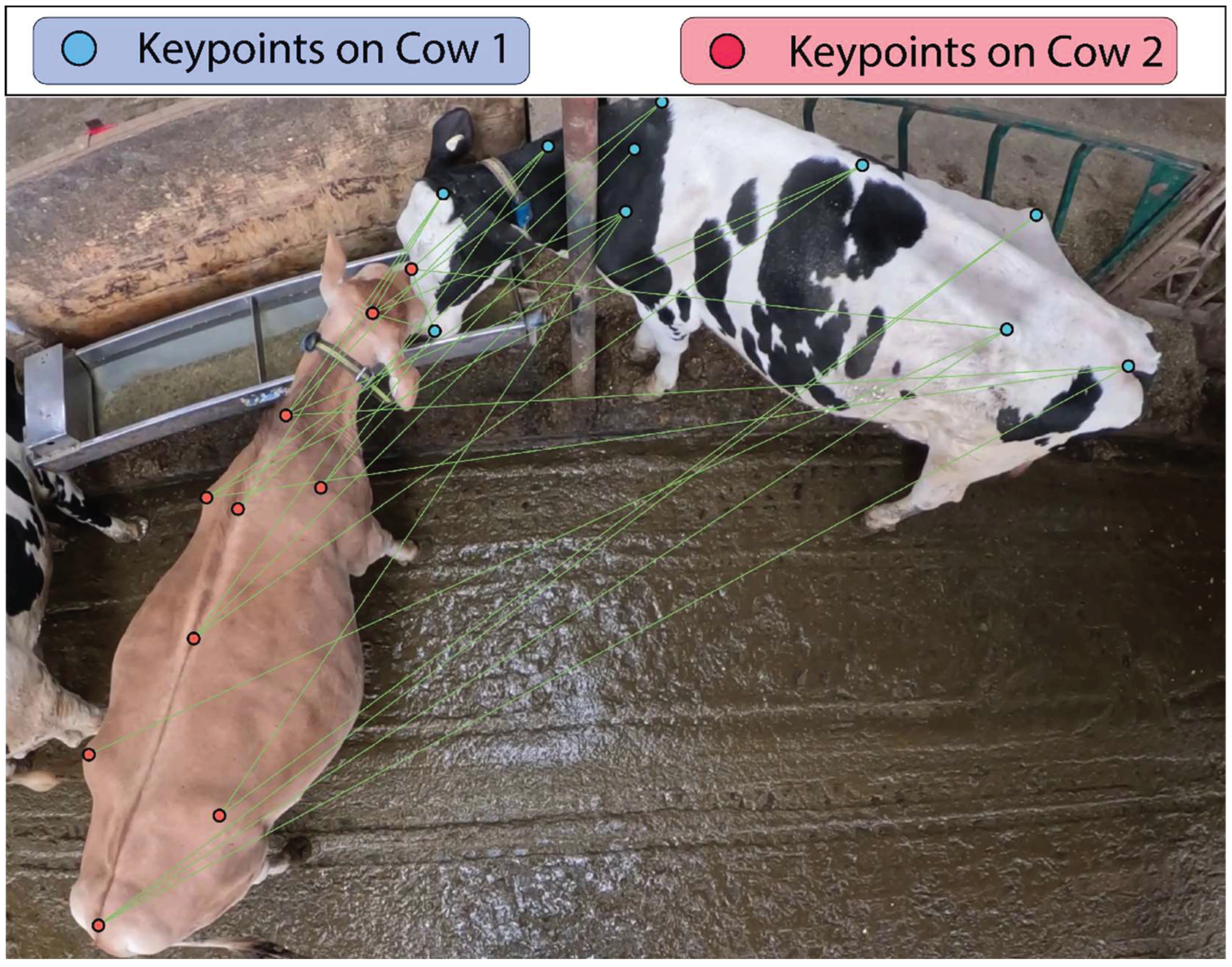 Preprints 161688 g007