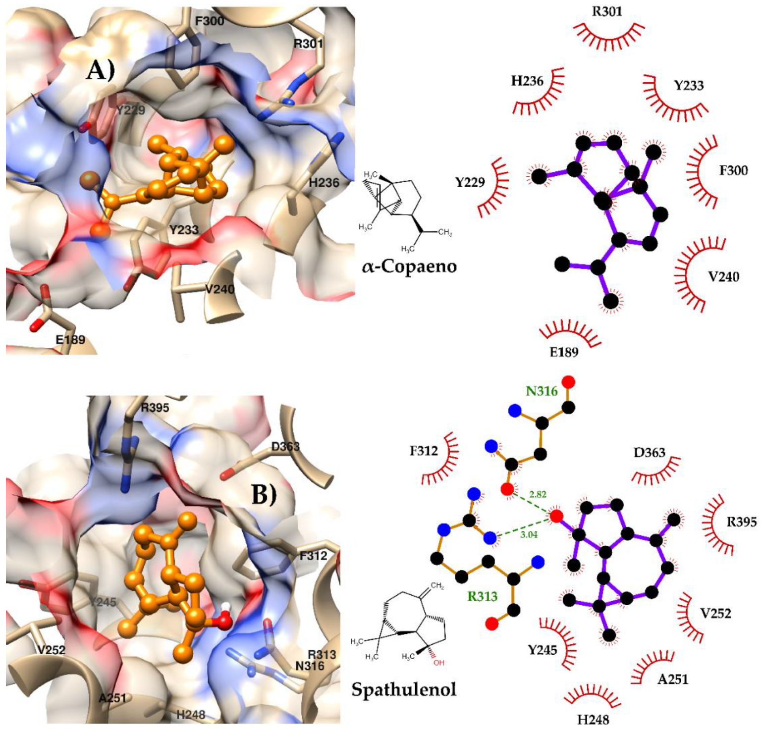 Preprints 208607 g005