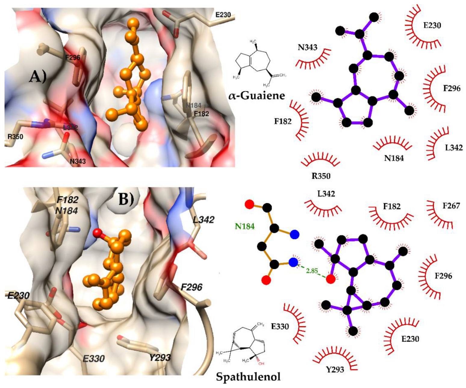 Preprints 208607 g006