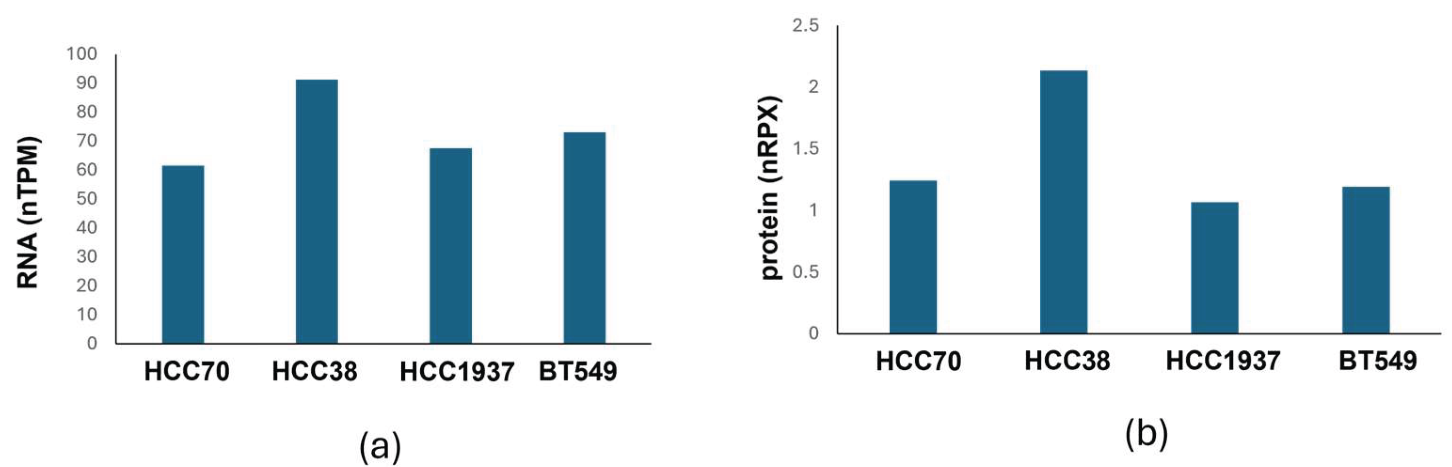 Preprints 202434 g002 Preprints 202434 g002