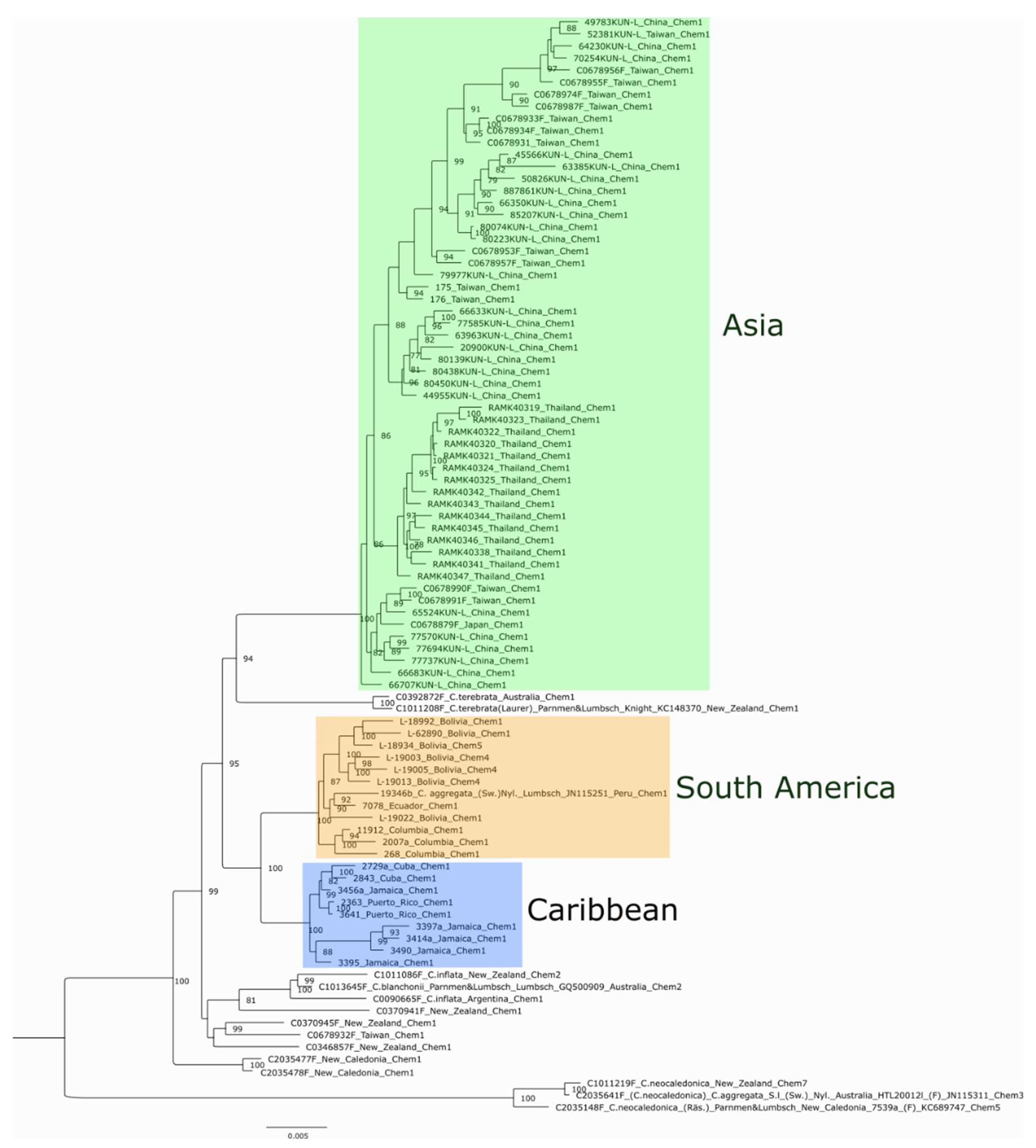 Preprints 188208 g001