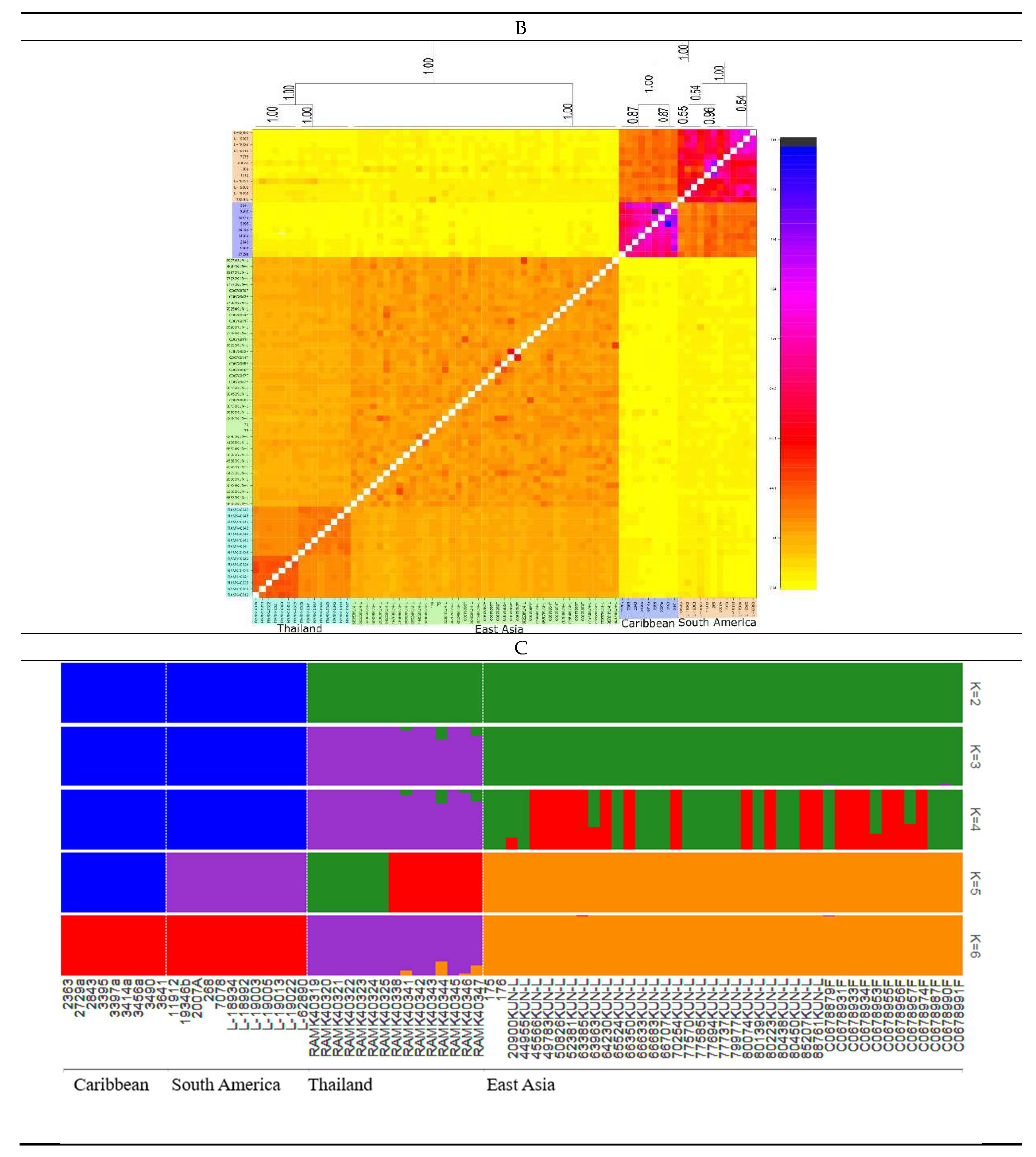 Preprints 188208 g002b