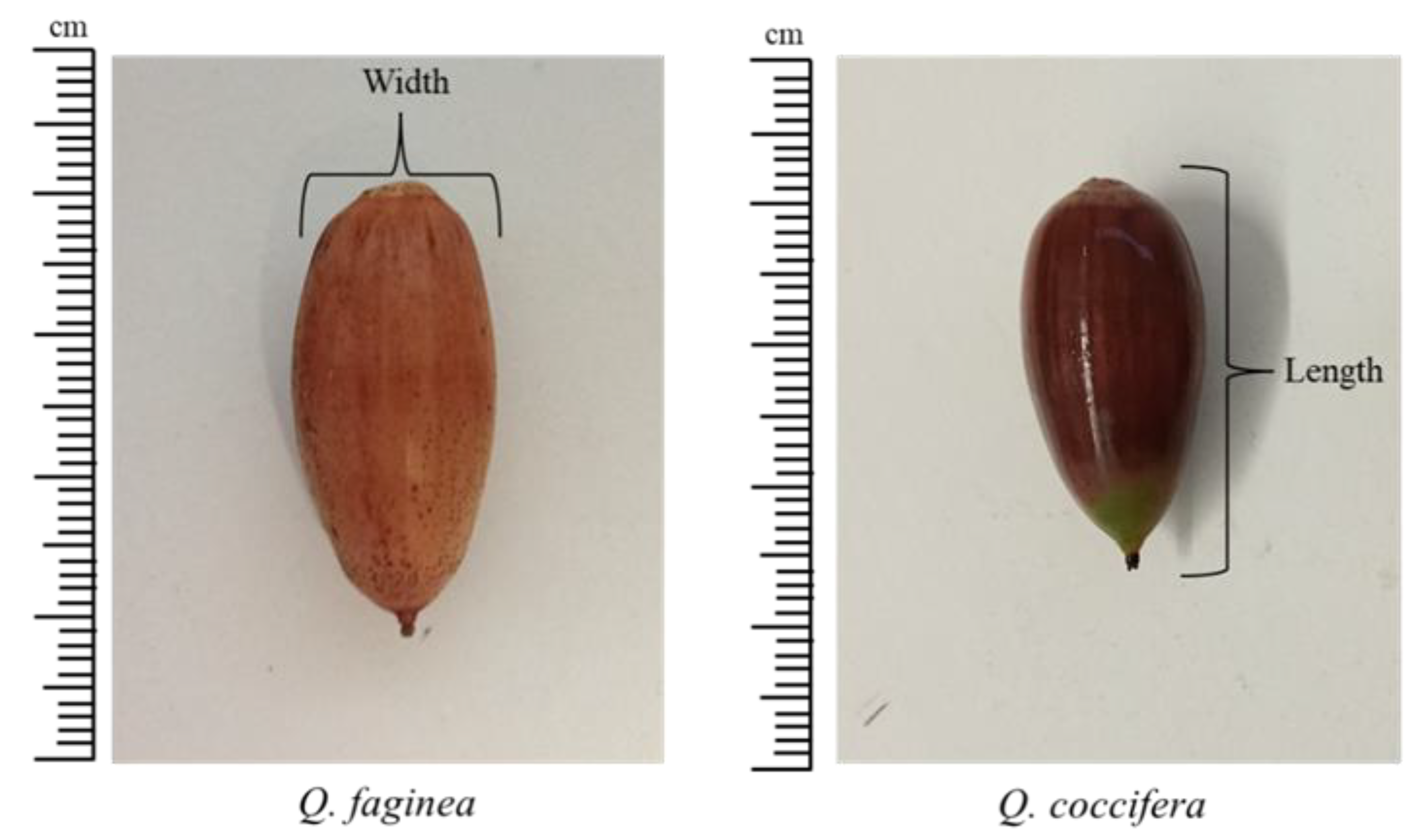 Preprints 153965 g001