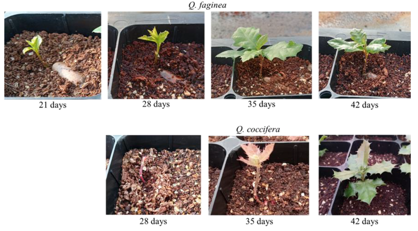 Preprints 153965 g003
