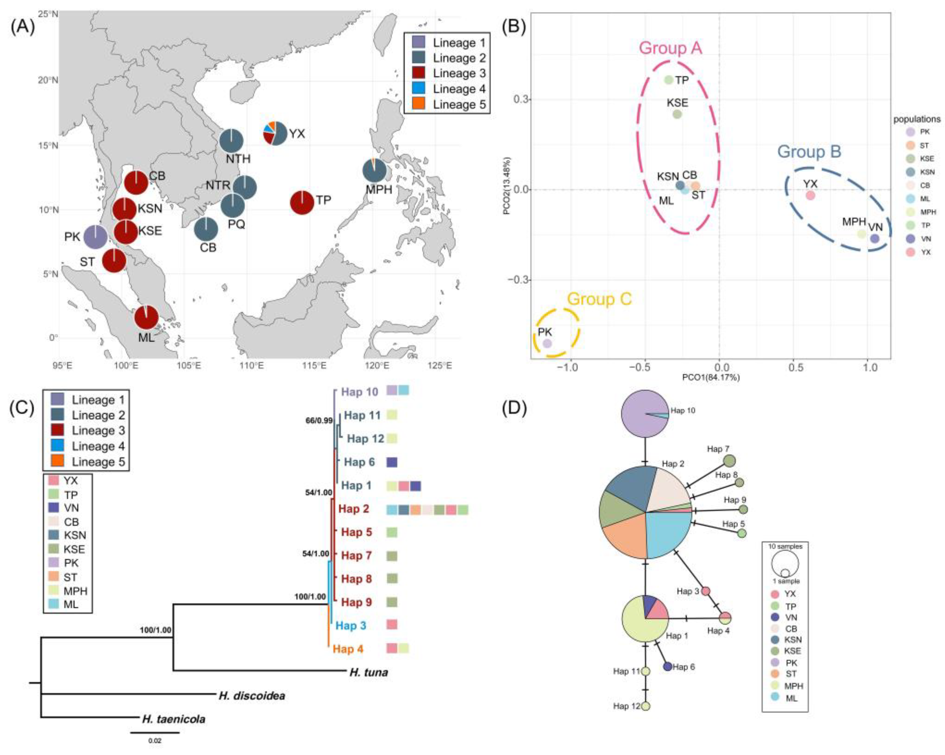 Preprints 153218 g001