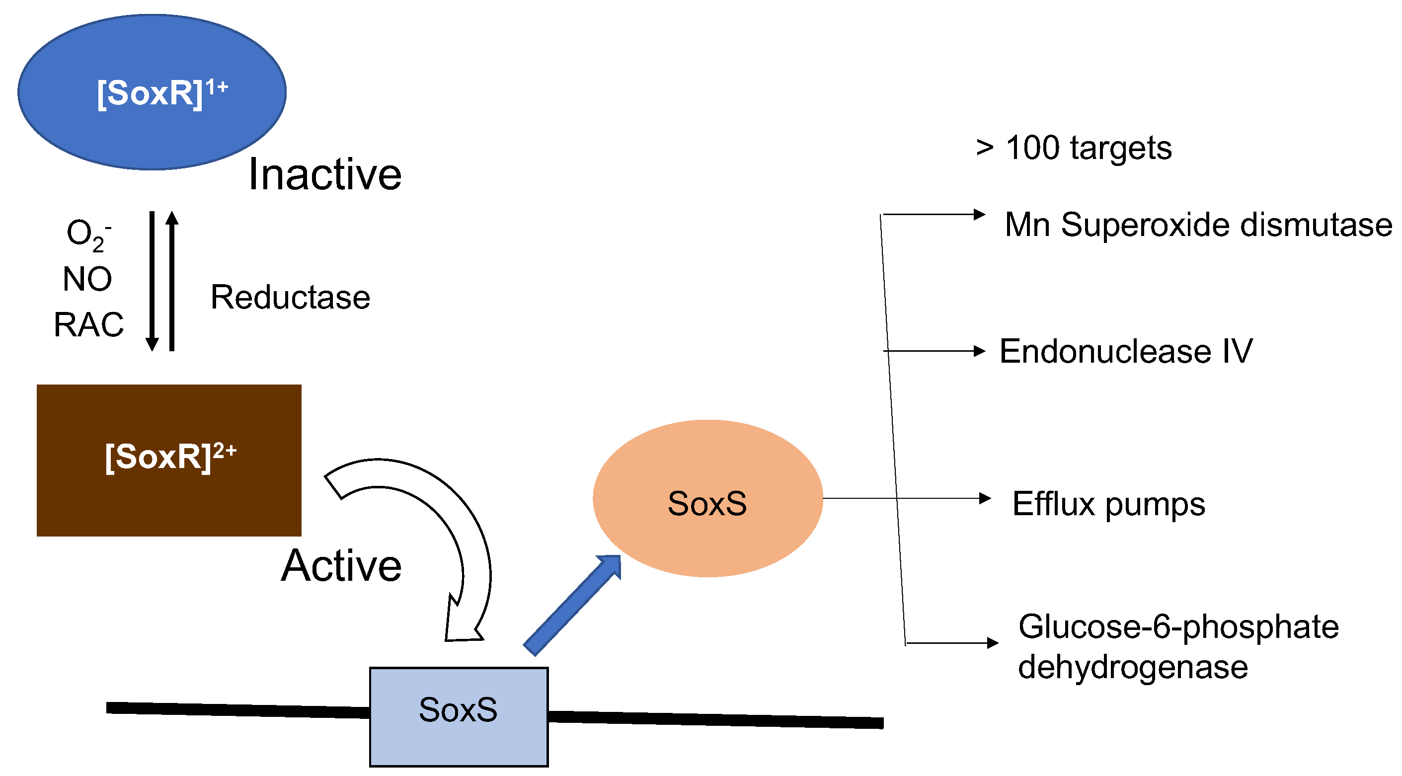 Preprints 167308 g001