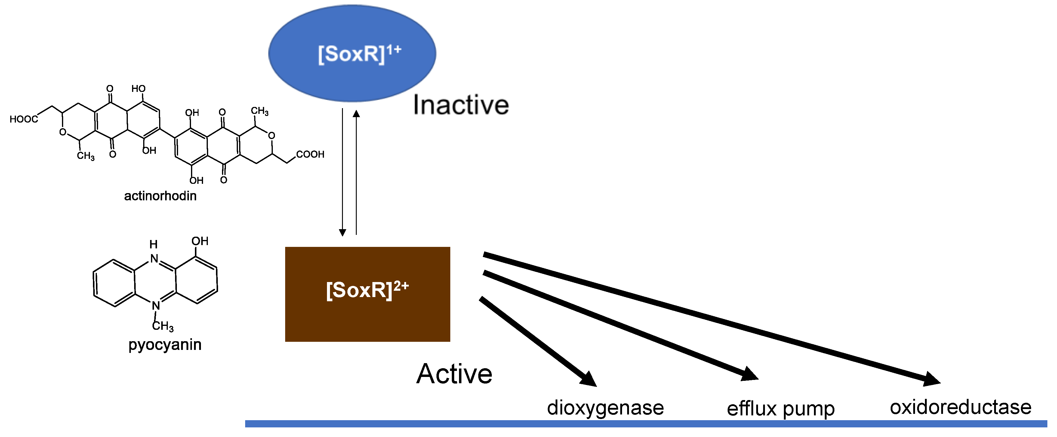 Preprints 167308 g002