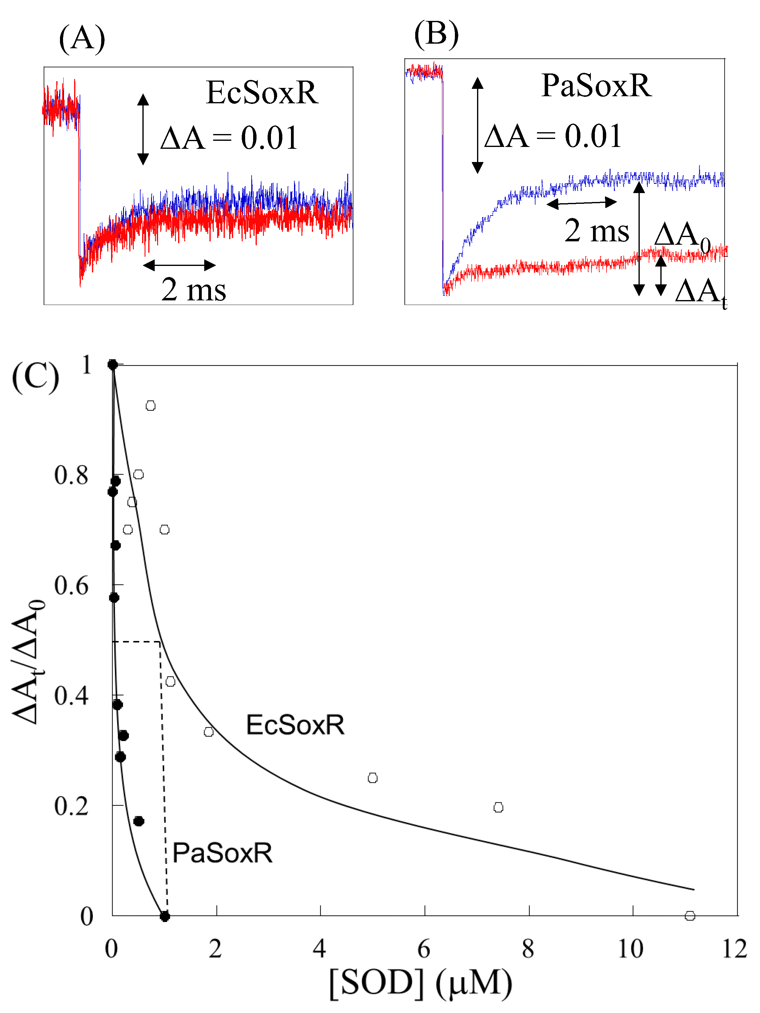 Preprints 167308 g003