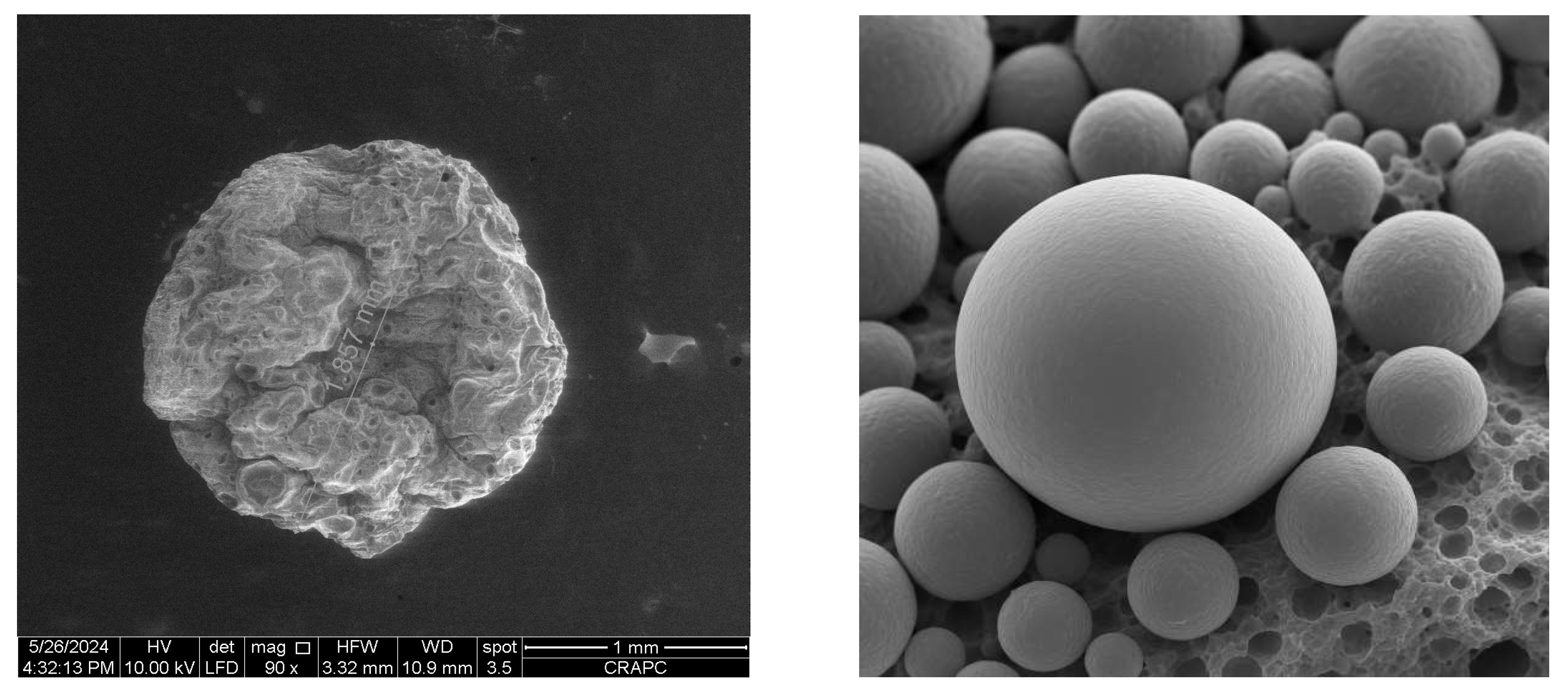 Preprints 158756 g002