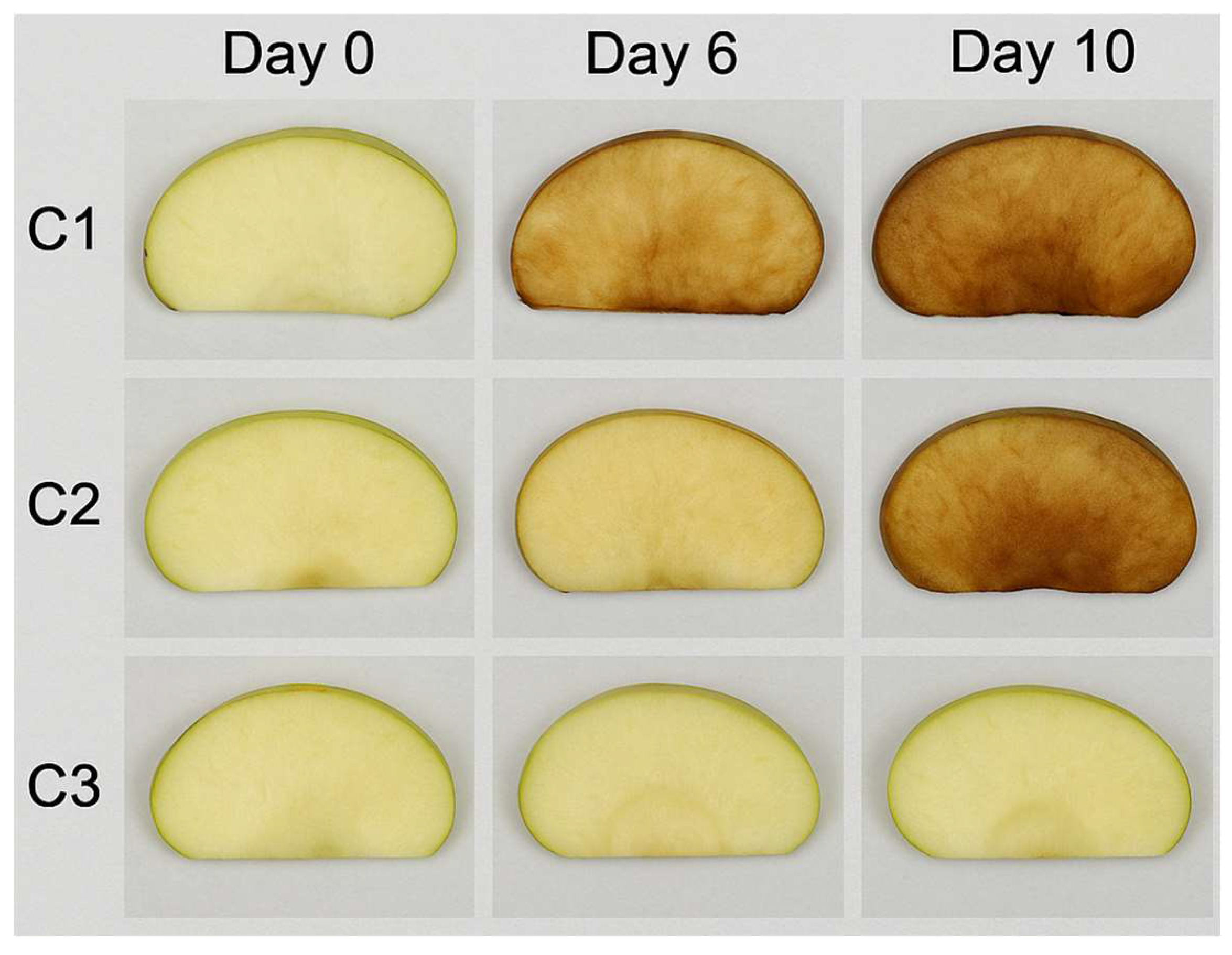 Preprints 158756 g003