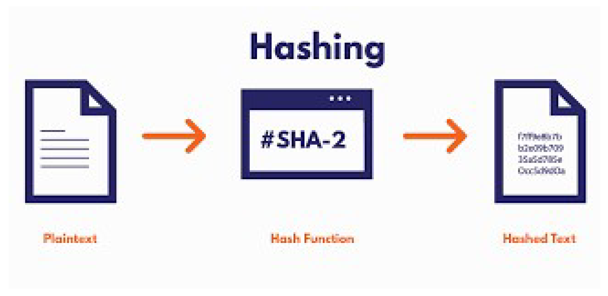 Preprints 141476 g009