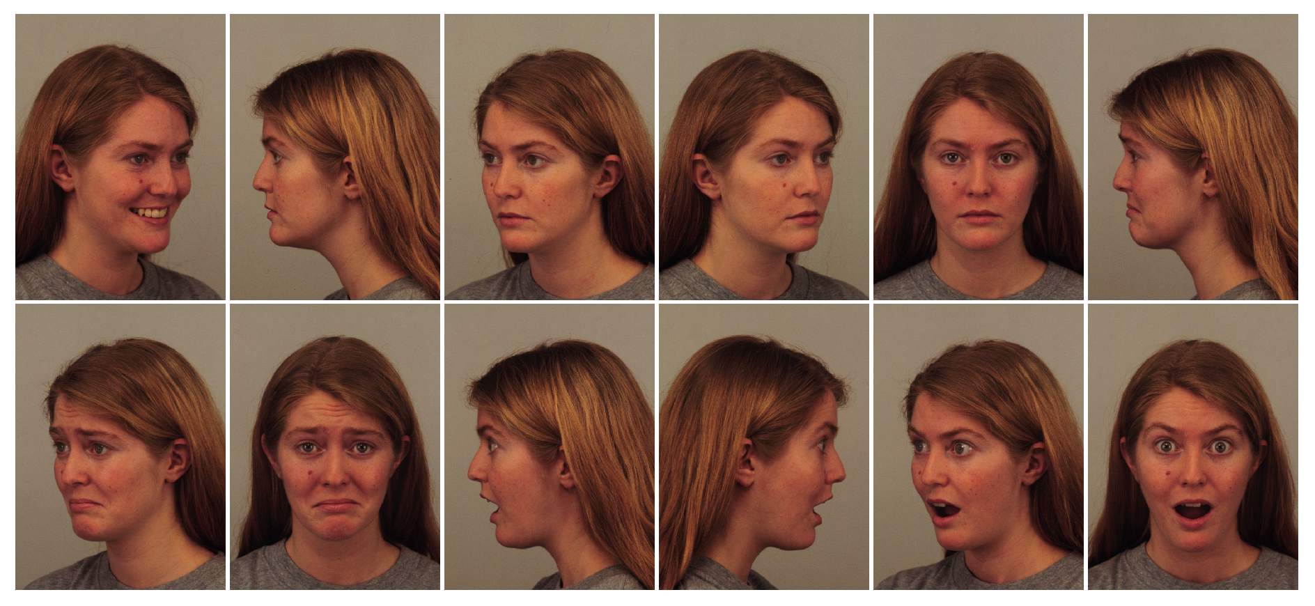 Preprints 185808 g006