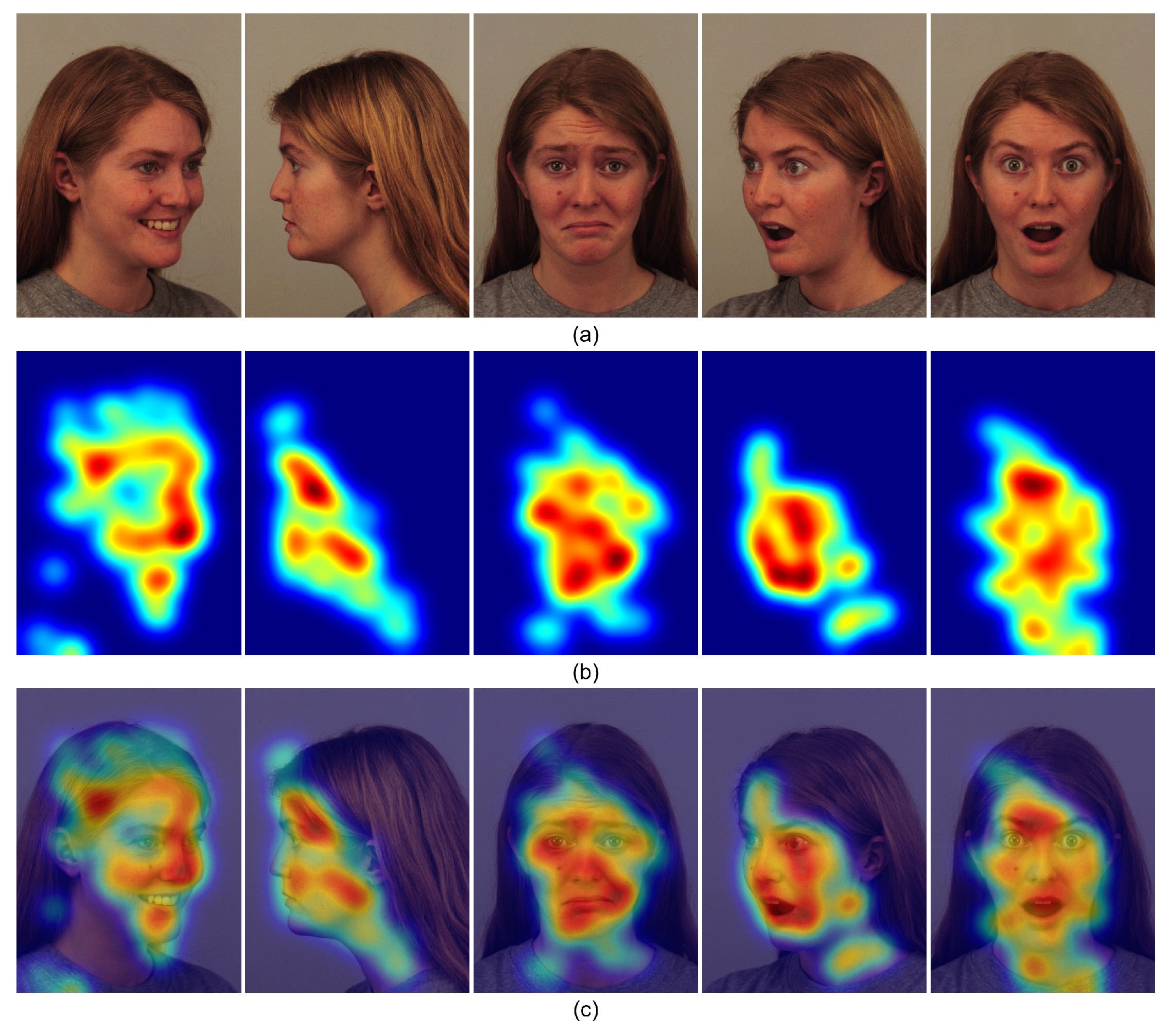 Preprints 185808 g012