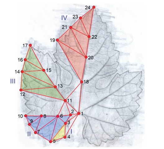 Preprints 165369 g002