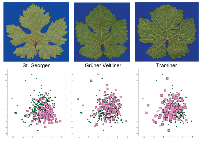 Preprints 165369 g003