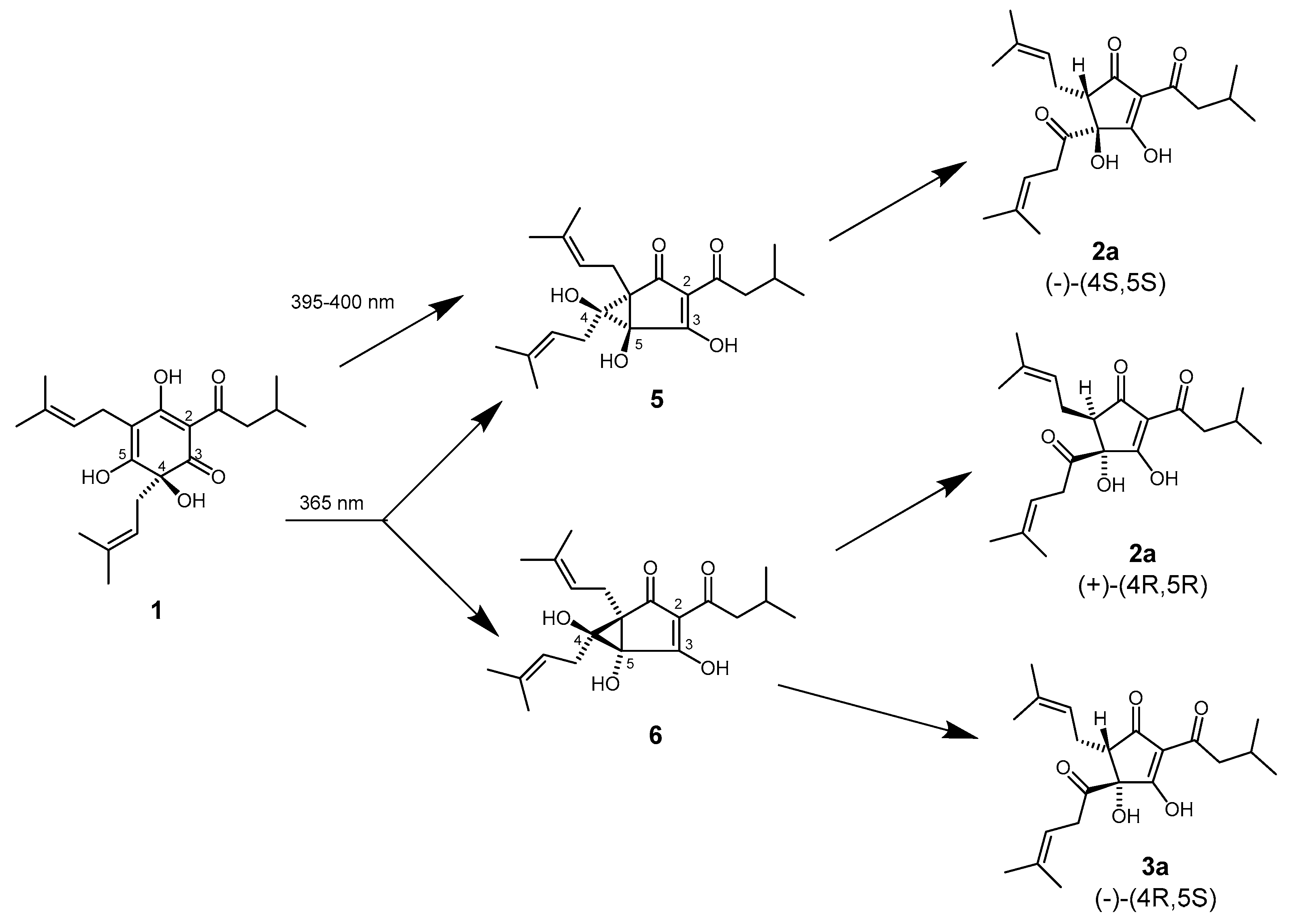 Preprints 221935 sch002