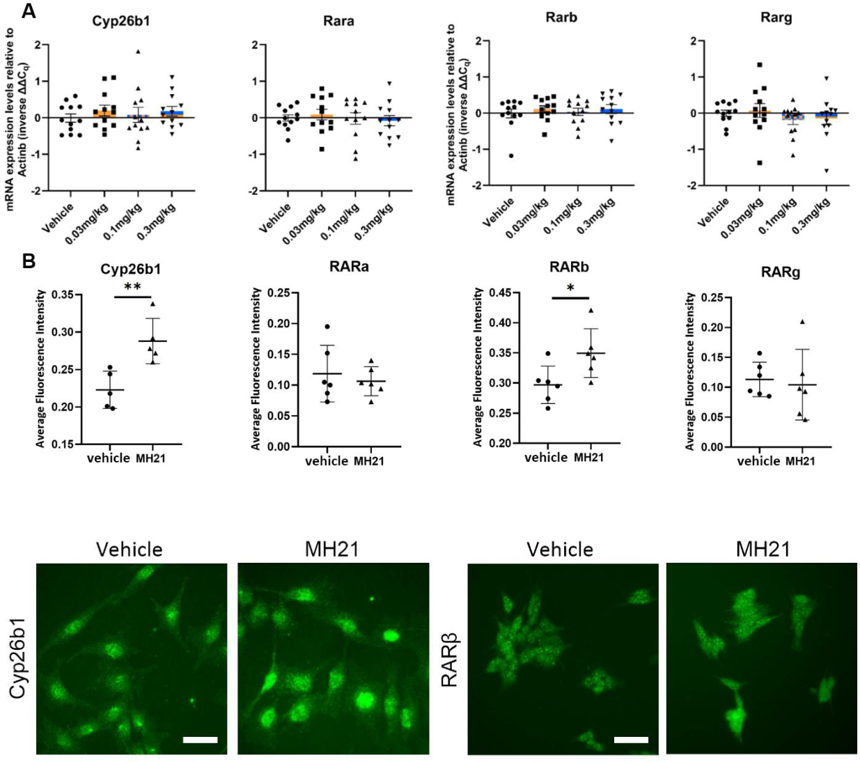 Preprints 216642 g001 Preprints 216642 g001