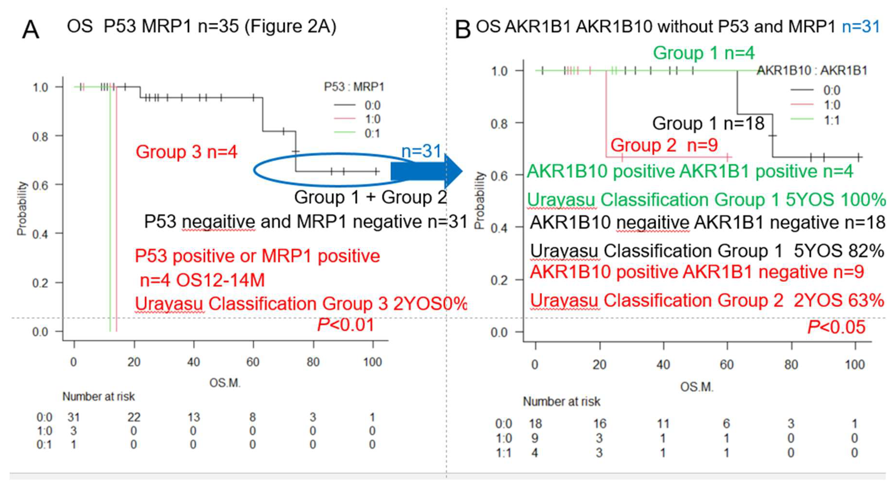 Preprints 146307 g003