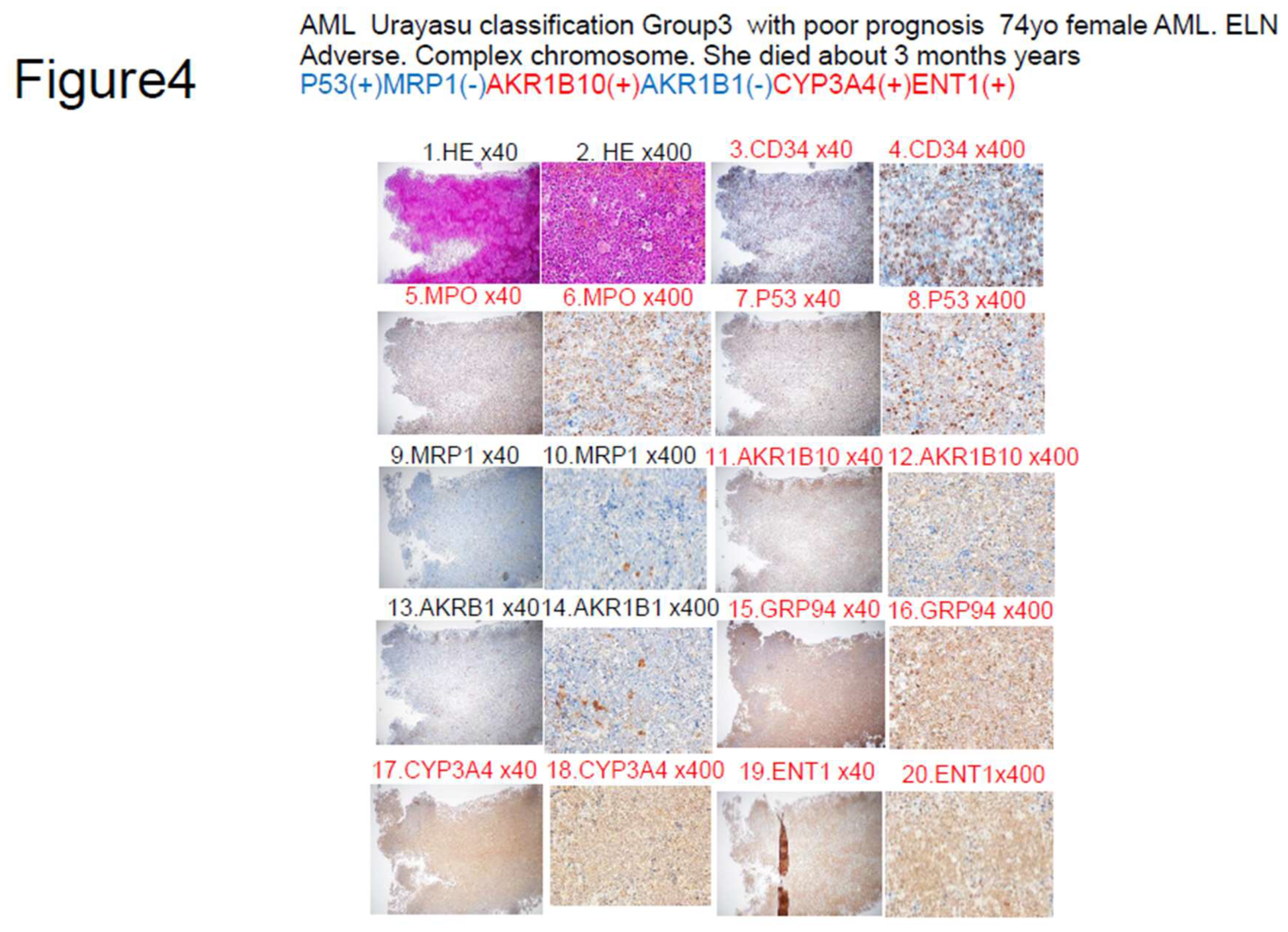 Preprints 146307 g004