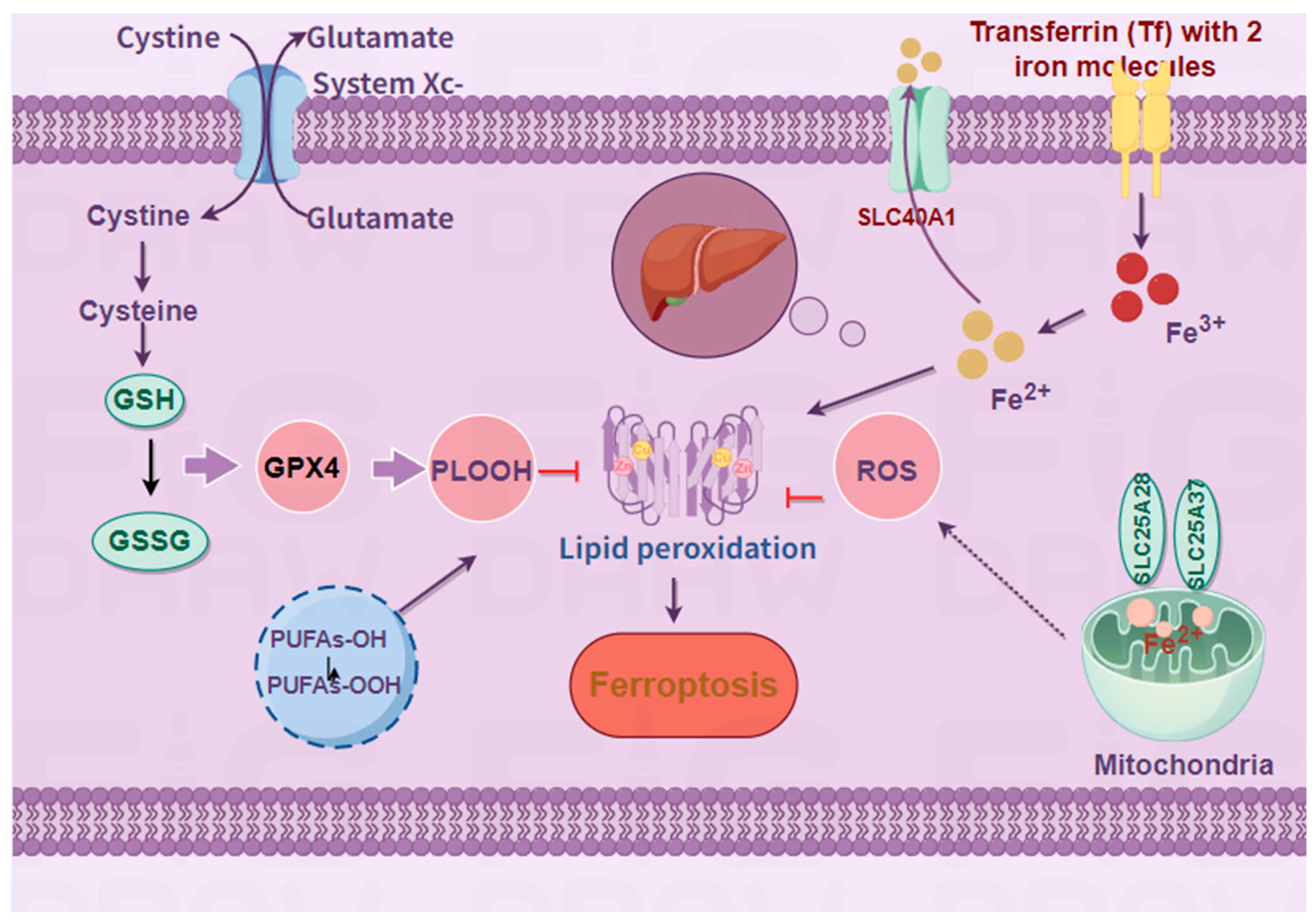Preprints 175479 g001