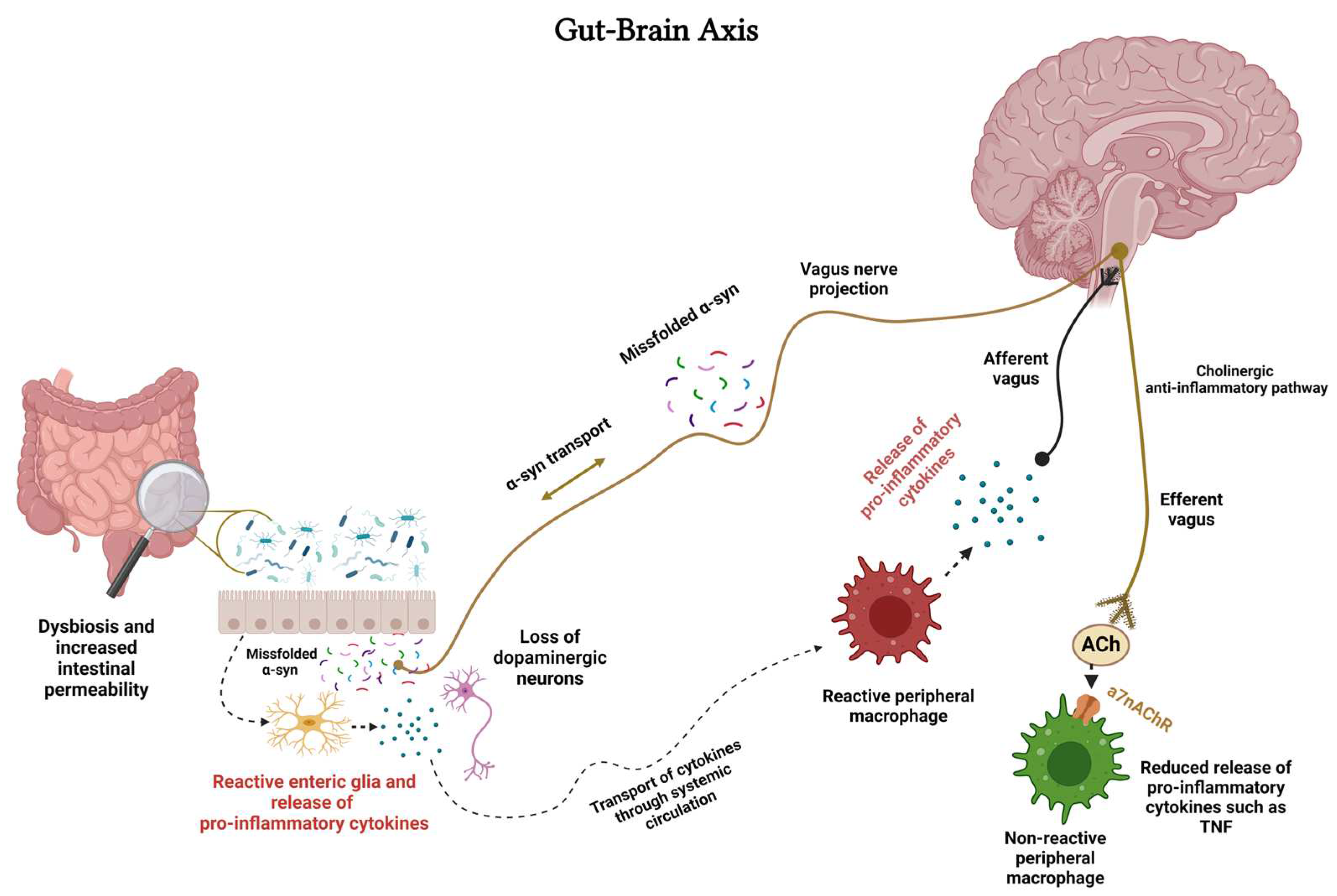 Preprints 97739 g002