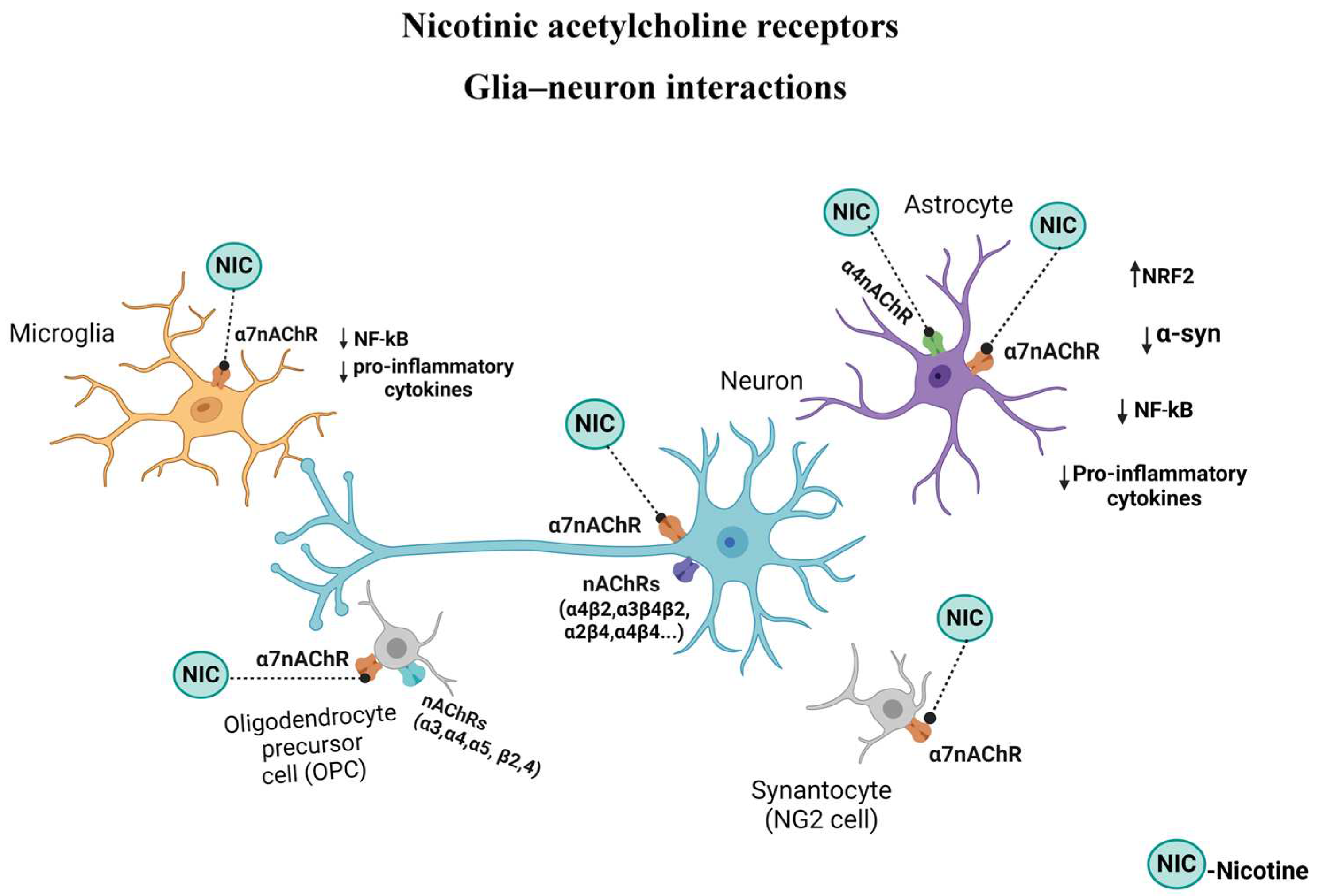 Preprints 97739 g003