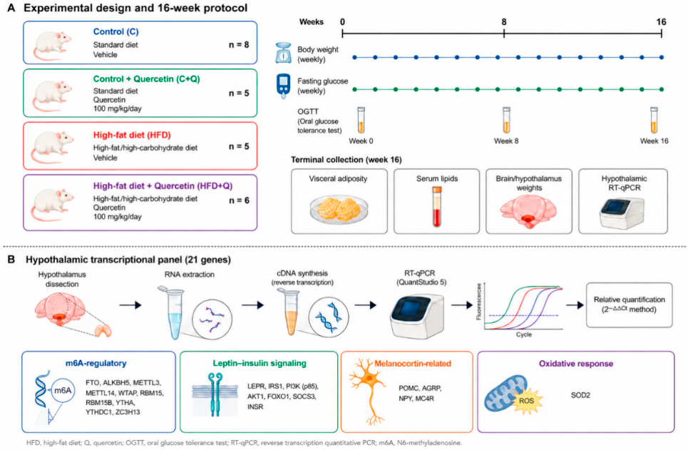Preprints 233565 g001 Preprints 233565 g001