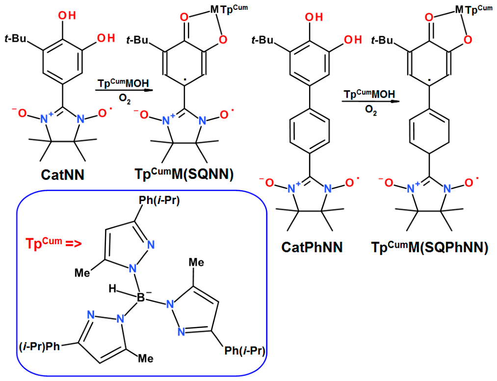 Preprints 230707 sch001