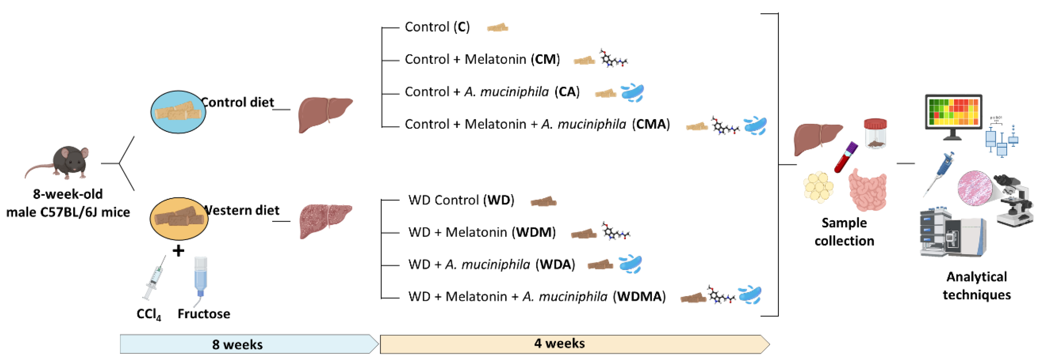 Preprints 197606 g001