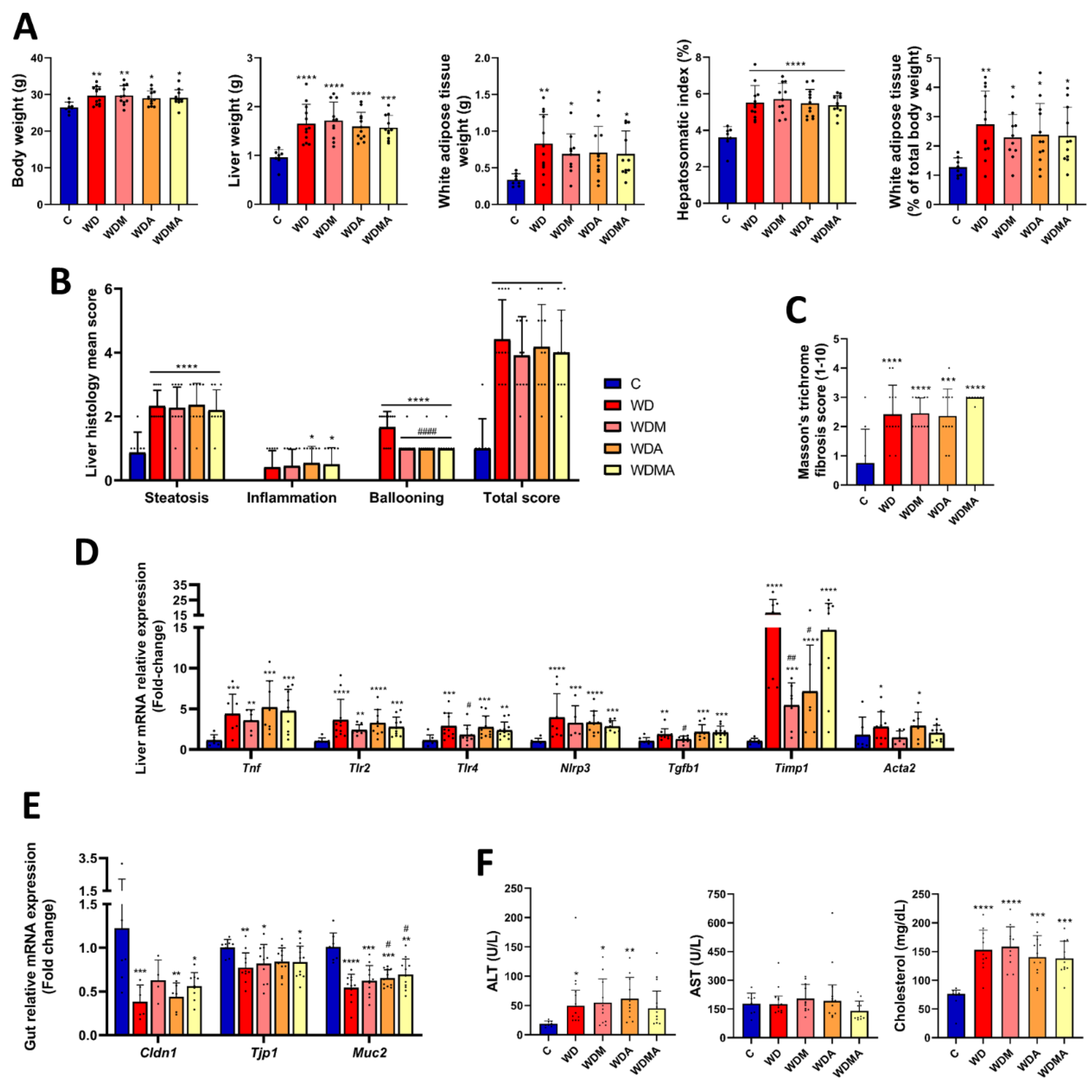 Preprints 197606 g002