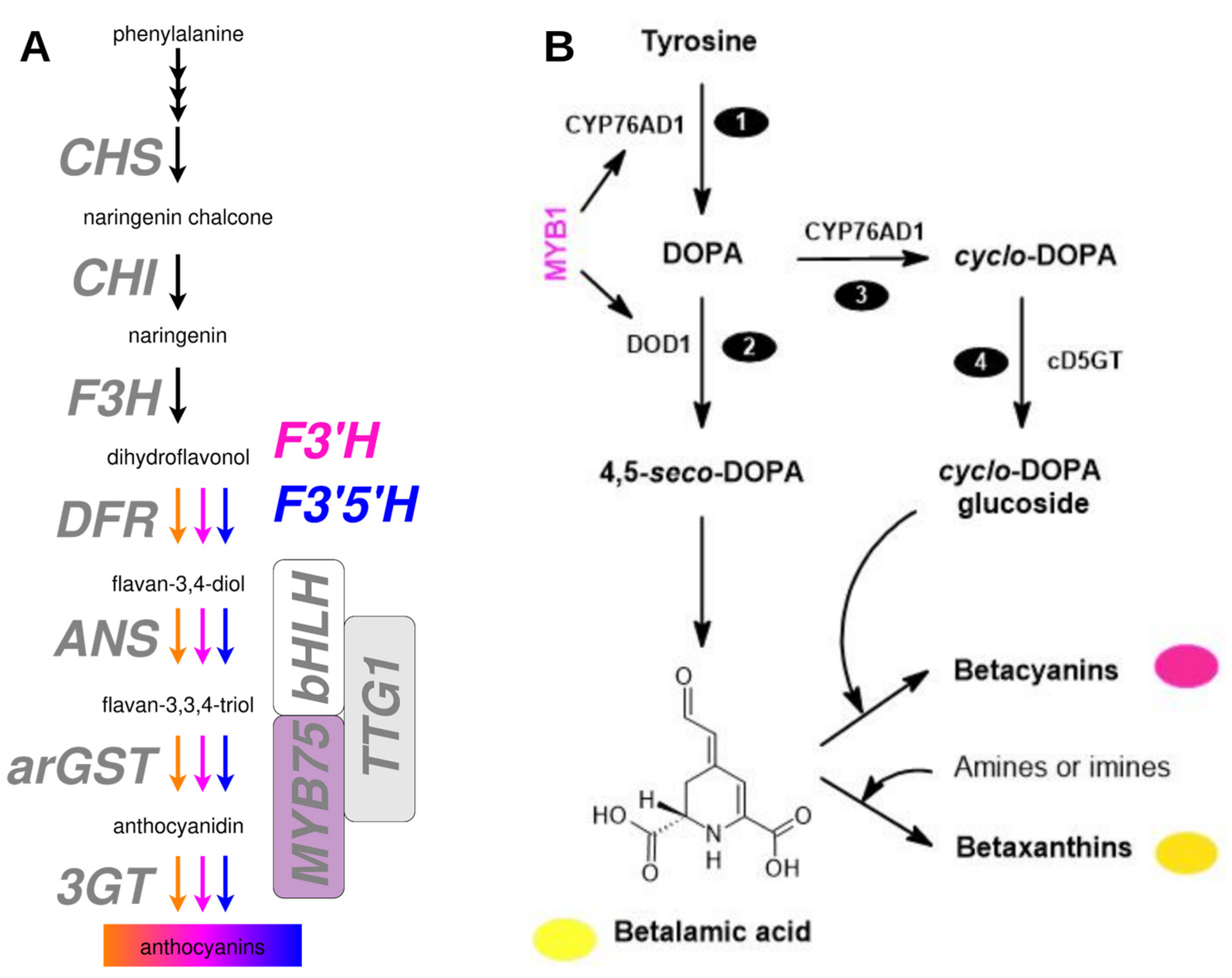 Preprints 203088 g001