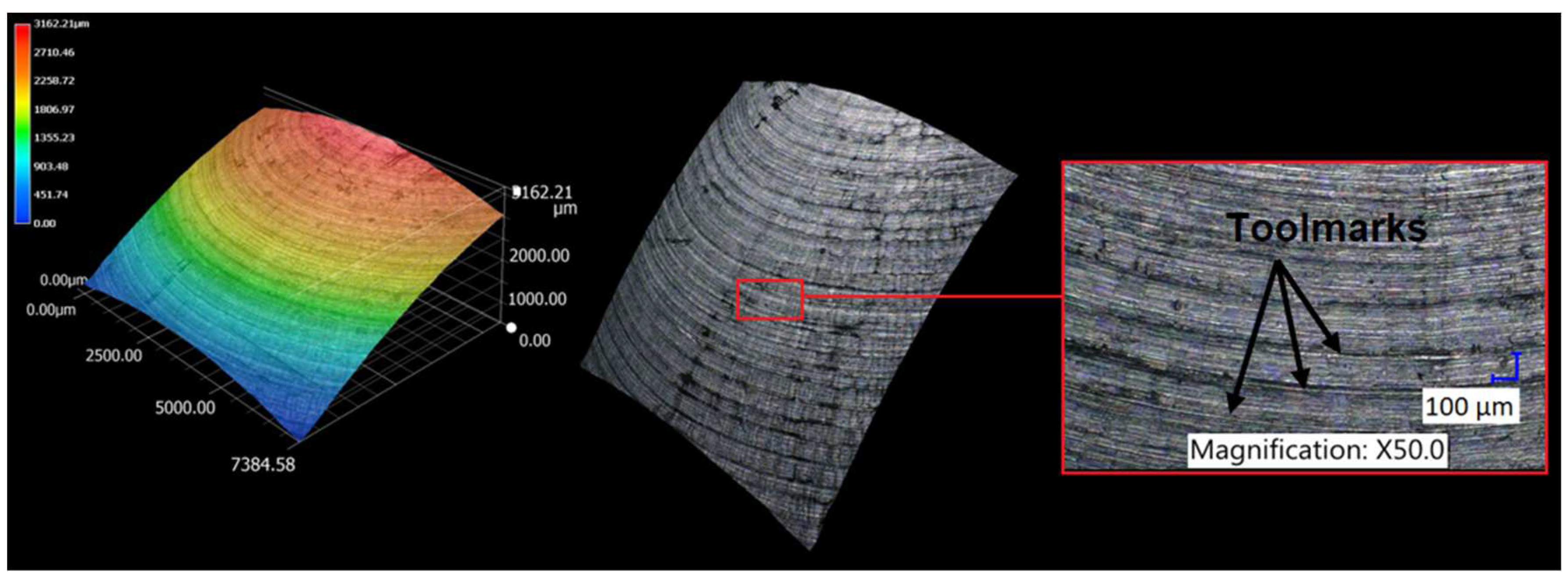 Preprints 80245 g010