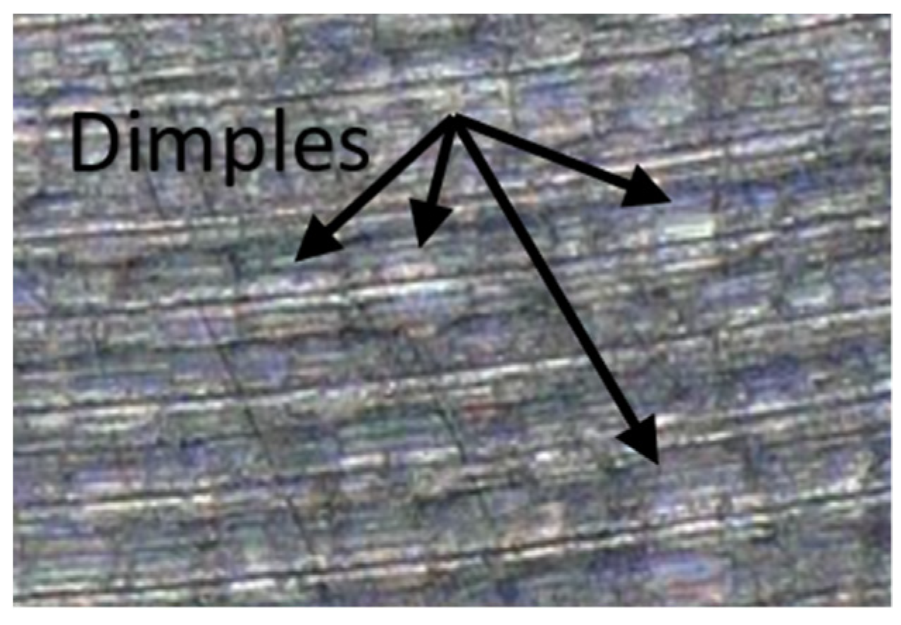 Preprints 80245 g020