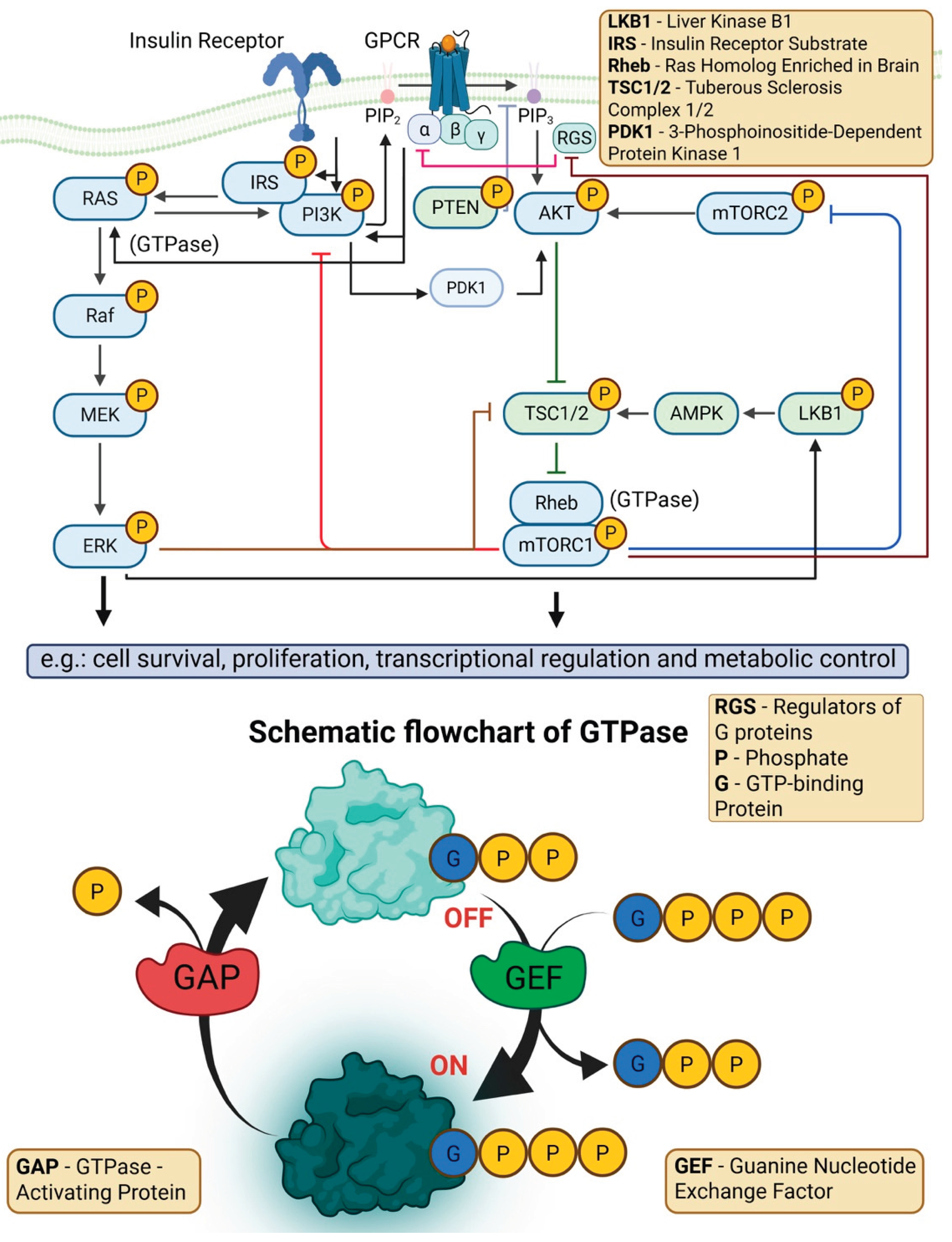 Preprints 190473 g003