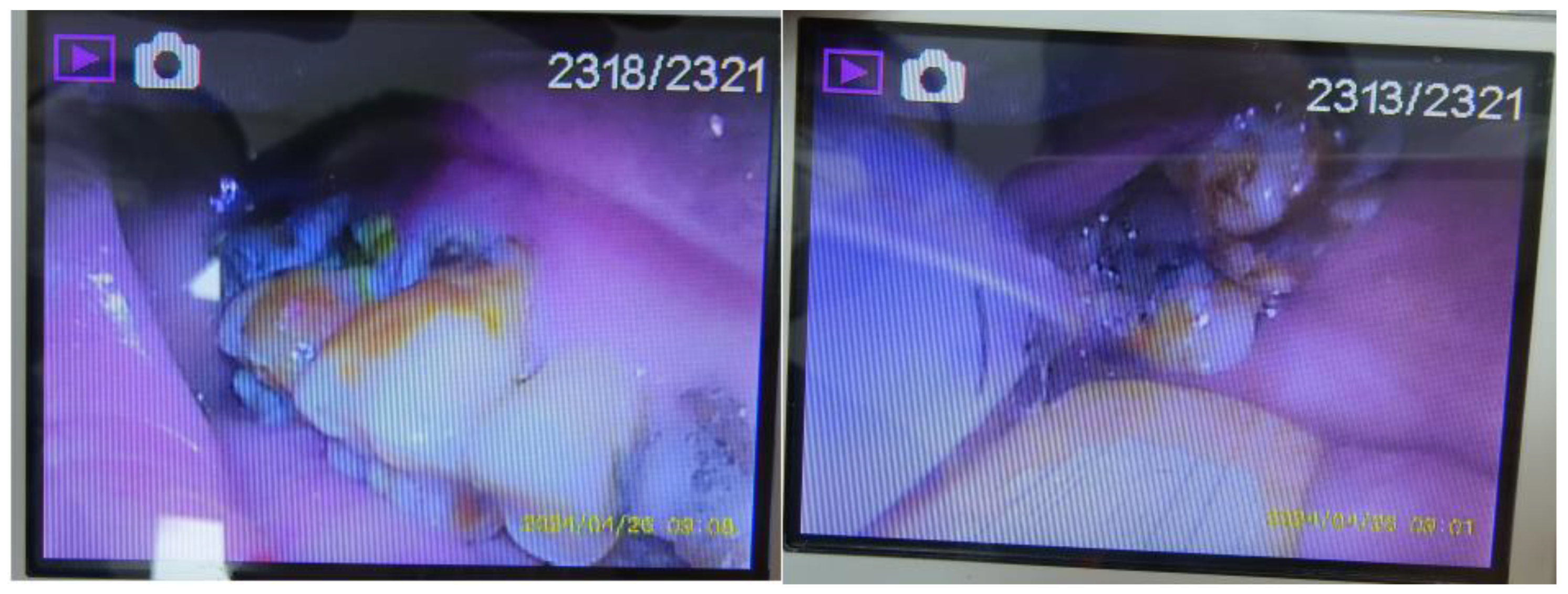 Preprints 141741 g002