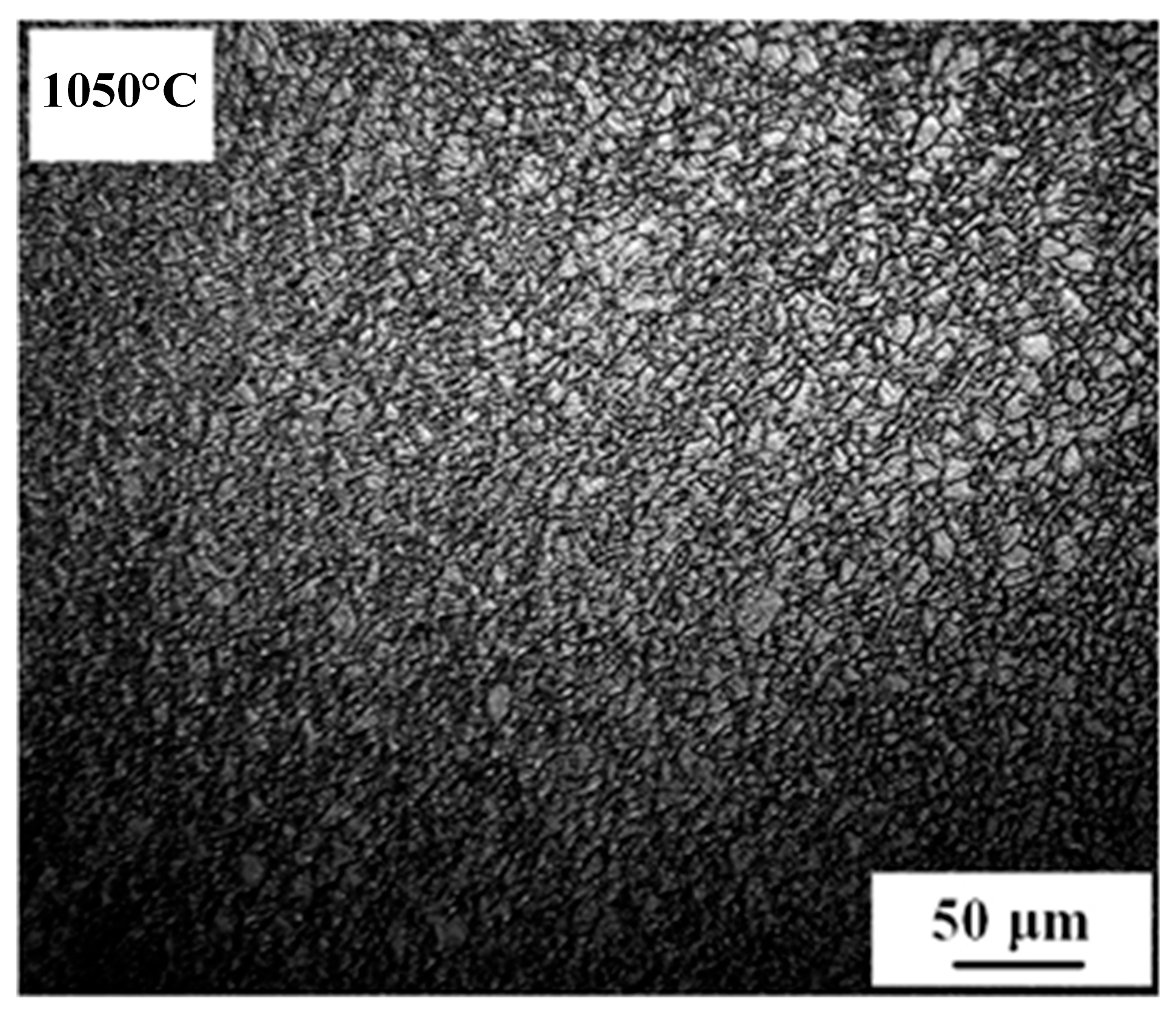 Preprints 173473 g001