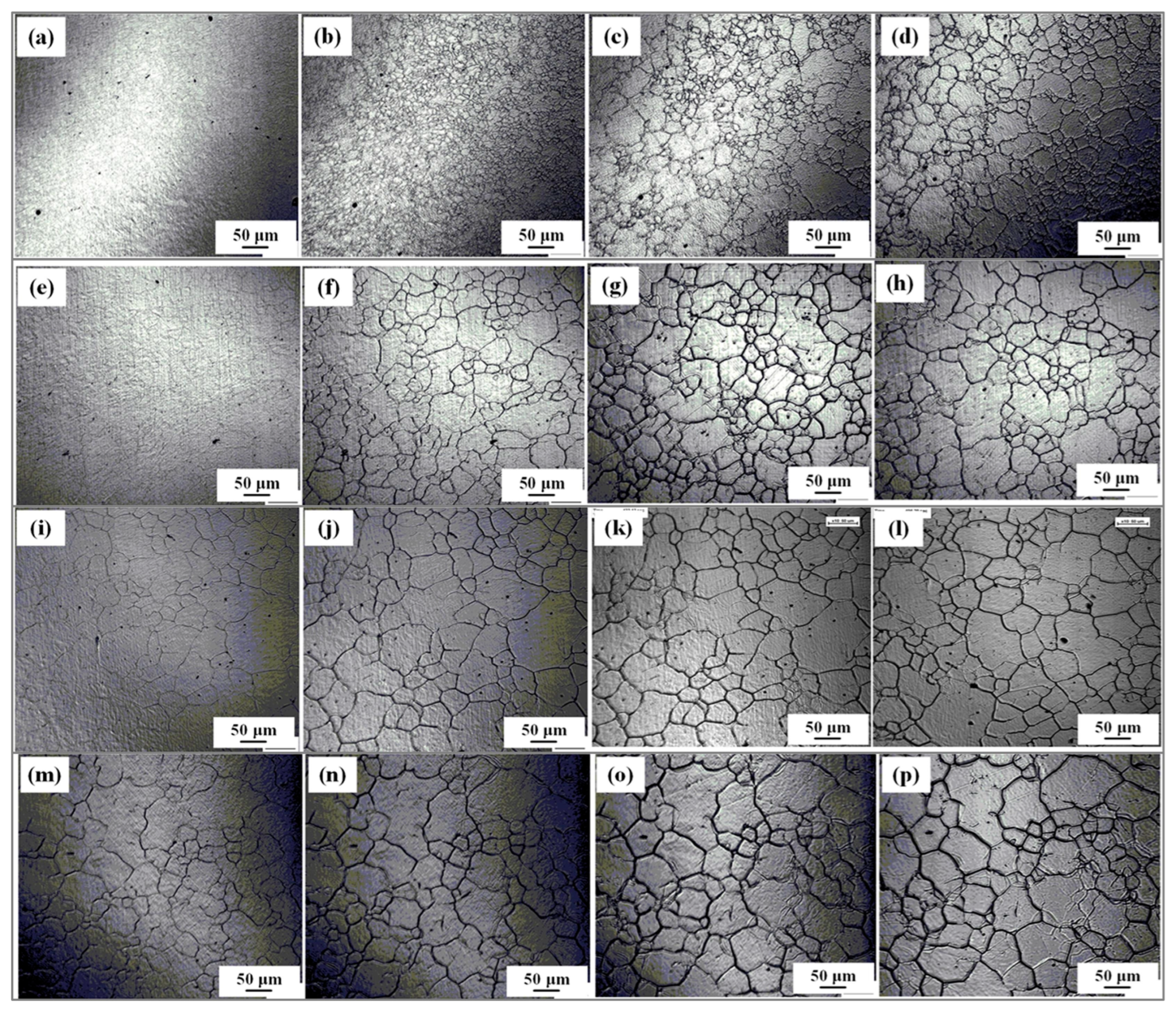 Preprints 173473 g002