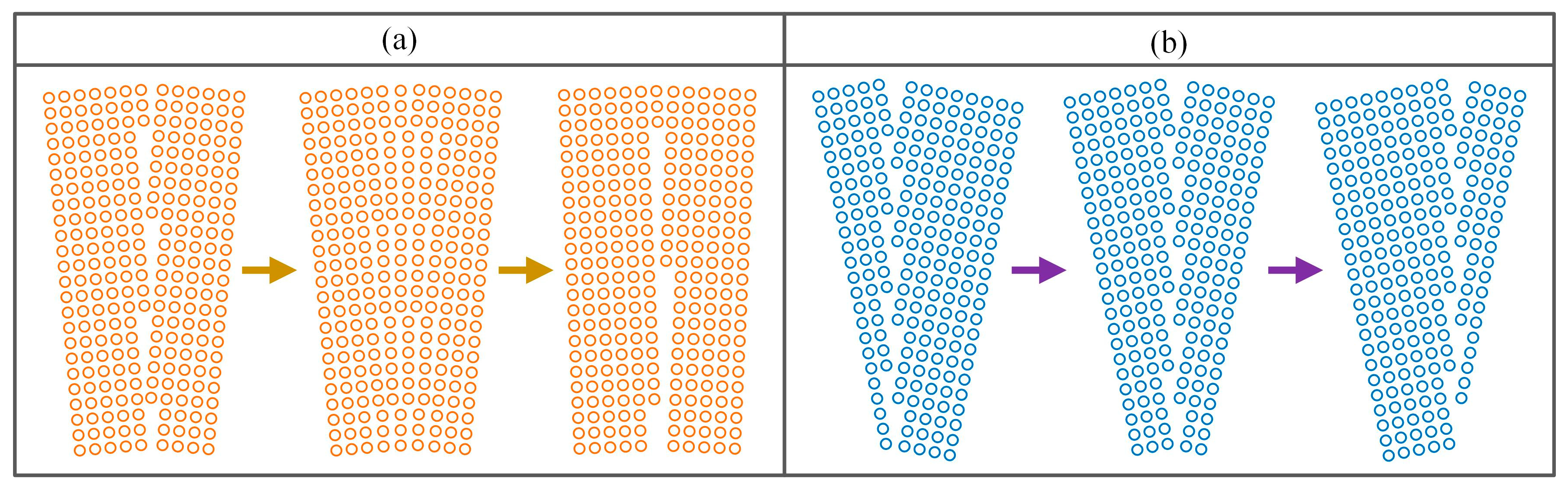 Preprints 173473 g007