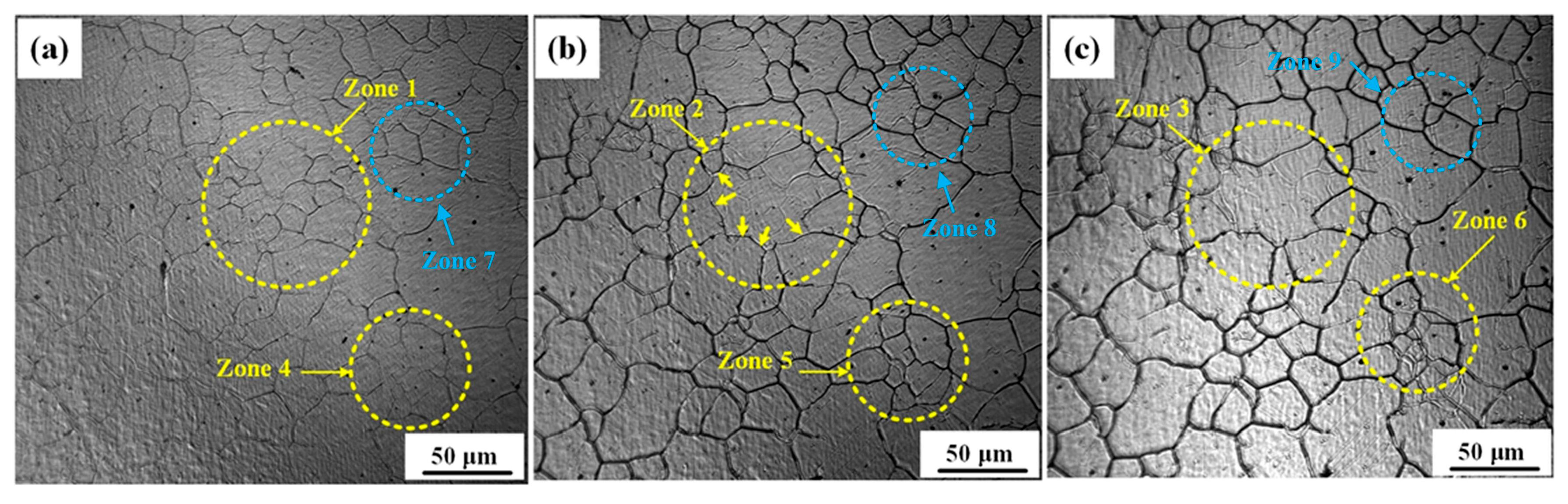 Preprints 173473 g008