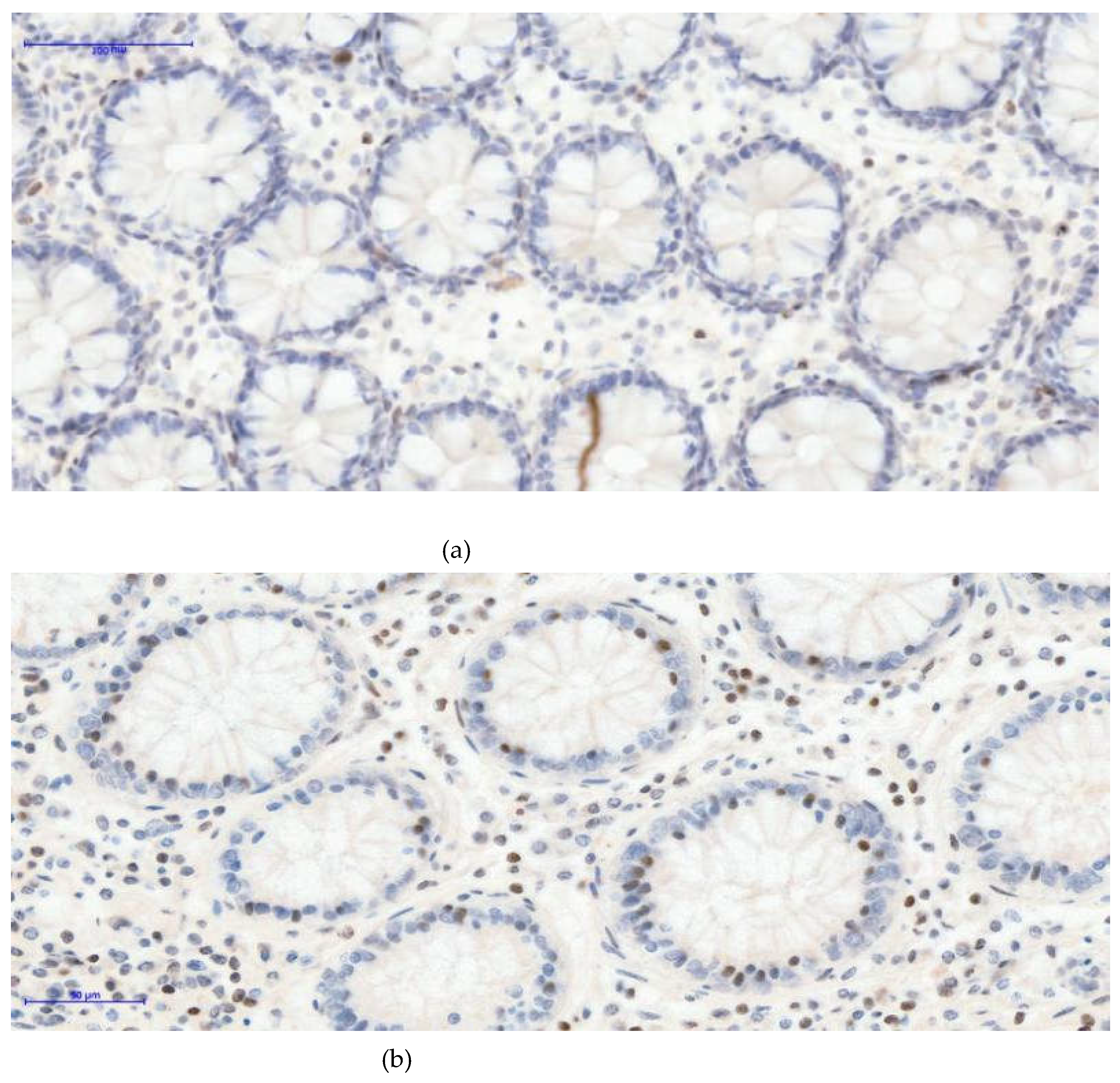 Preprints 198517 g002a